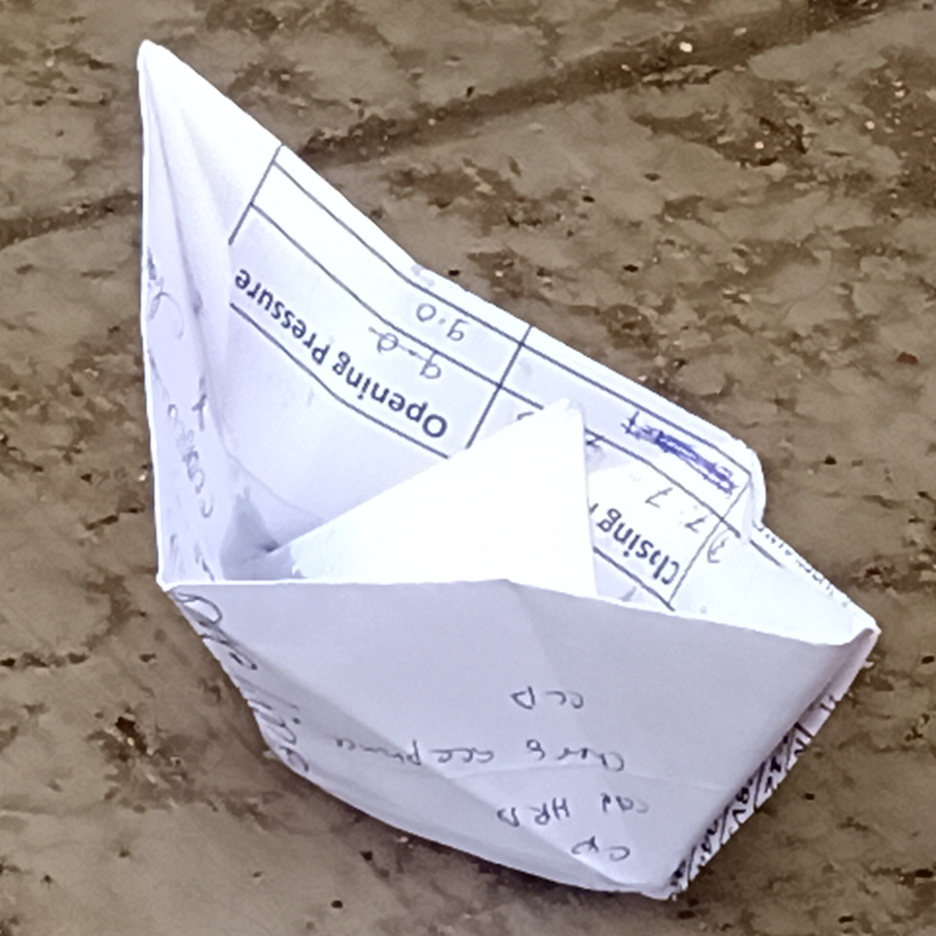 Sonali Hazra Chatterjee