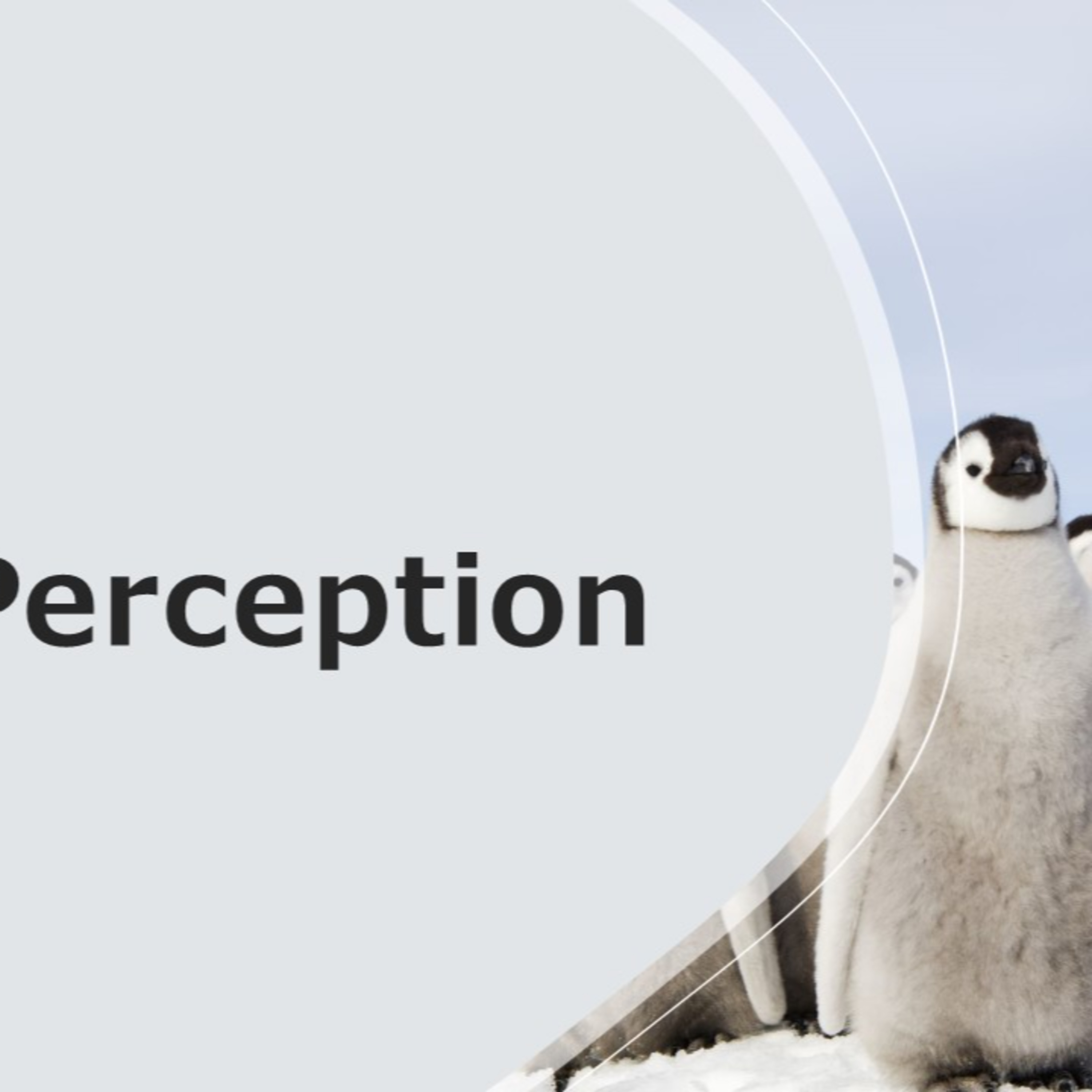 Perception