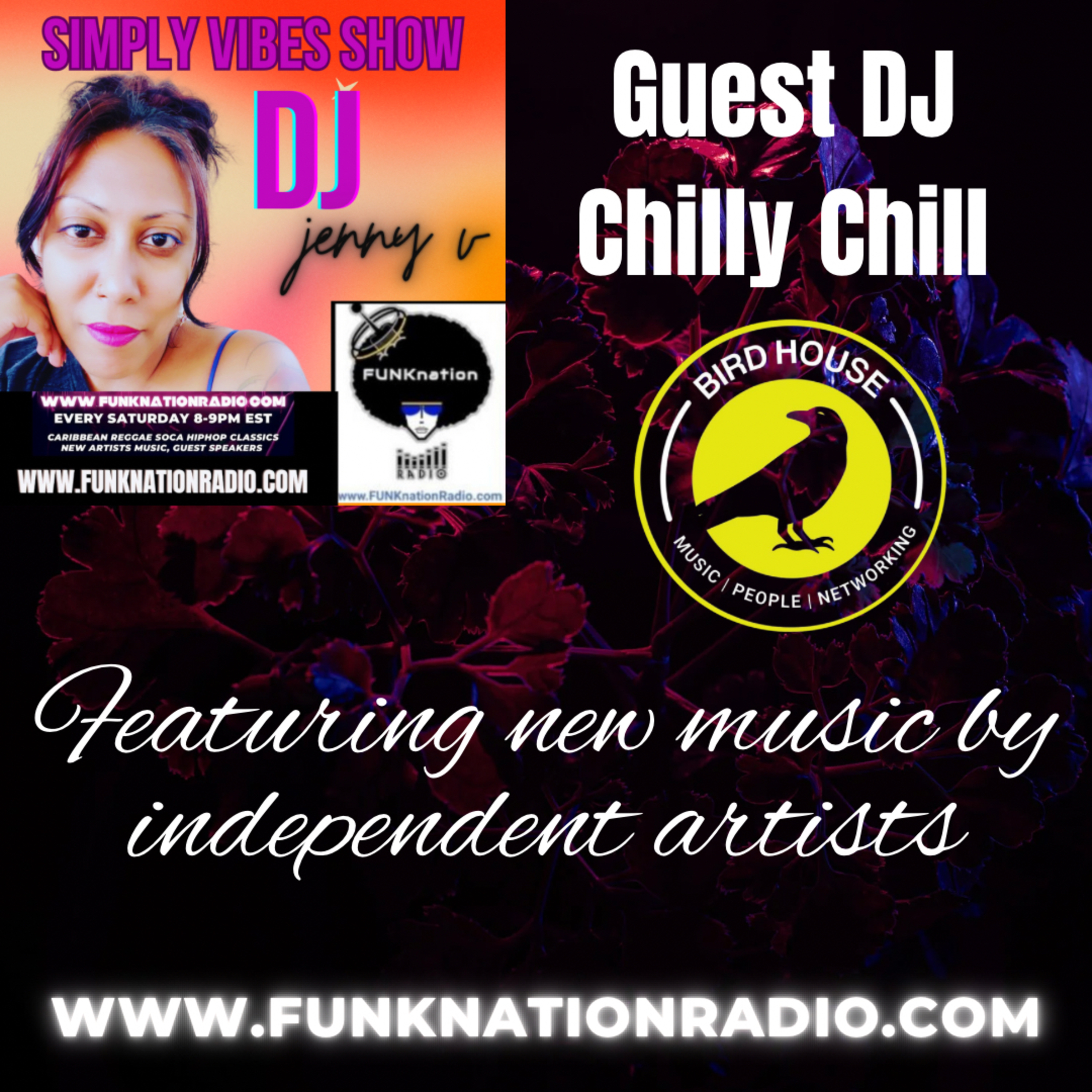 New music by independent artists with guest DJ Chilly Chill from the Birdhouse  thumbnail