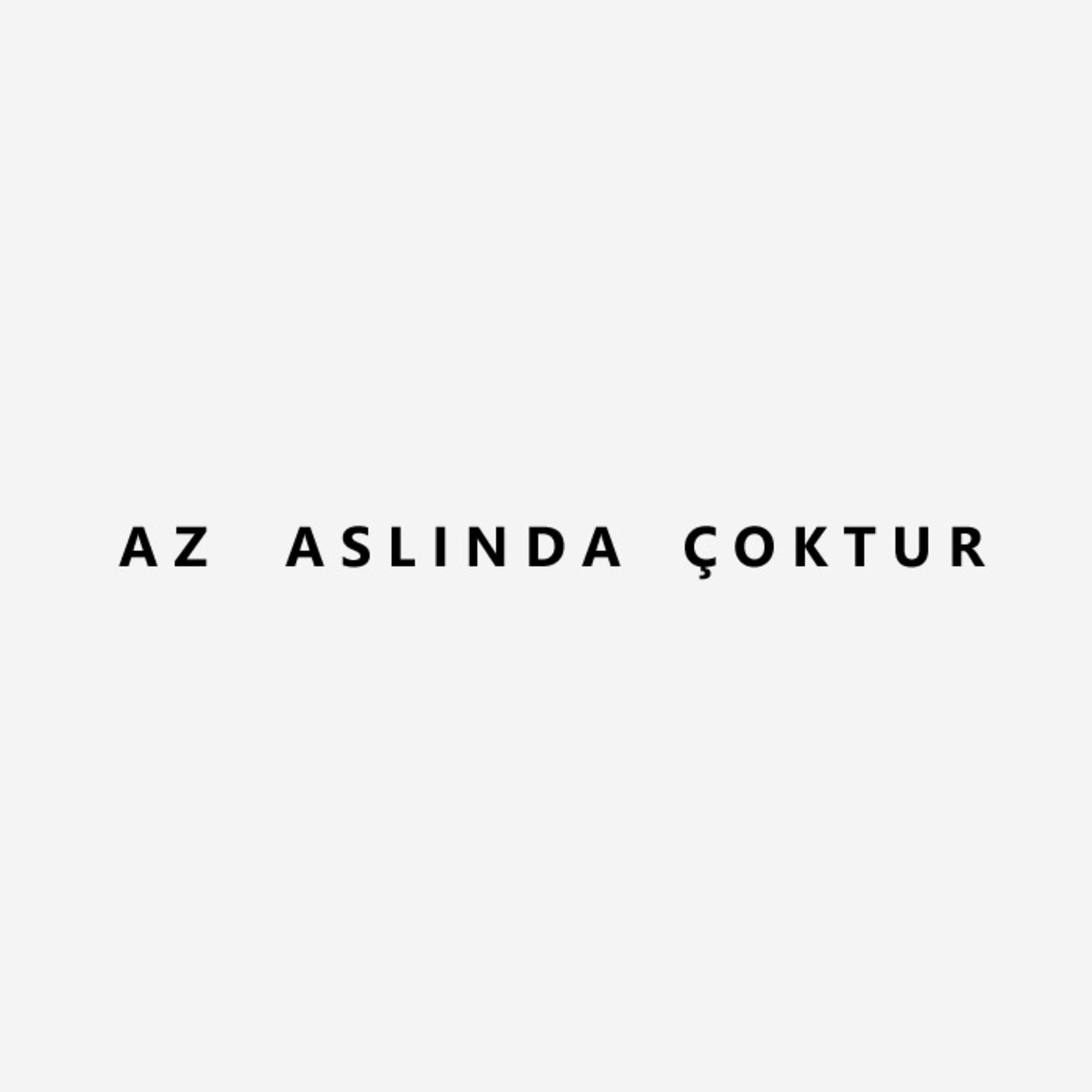 Sesli Notlar