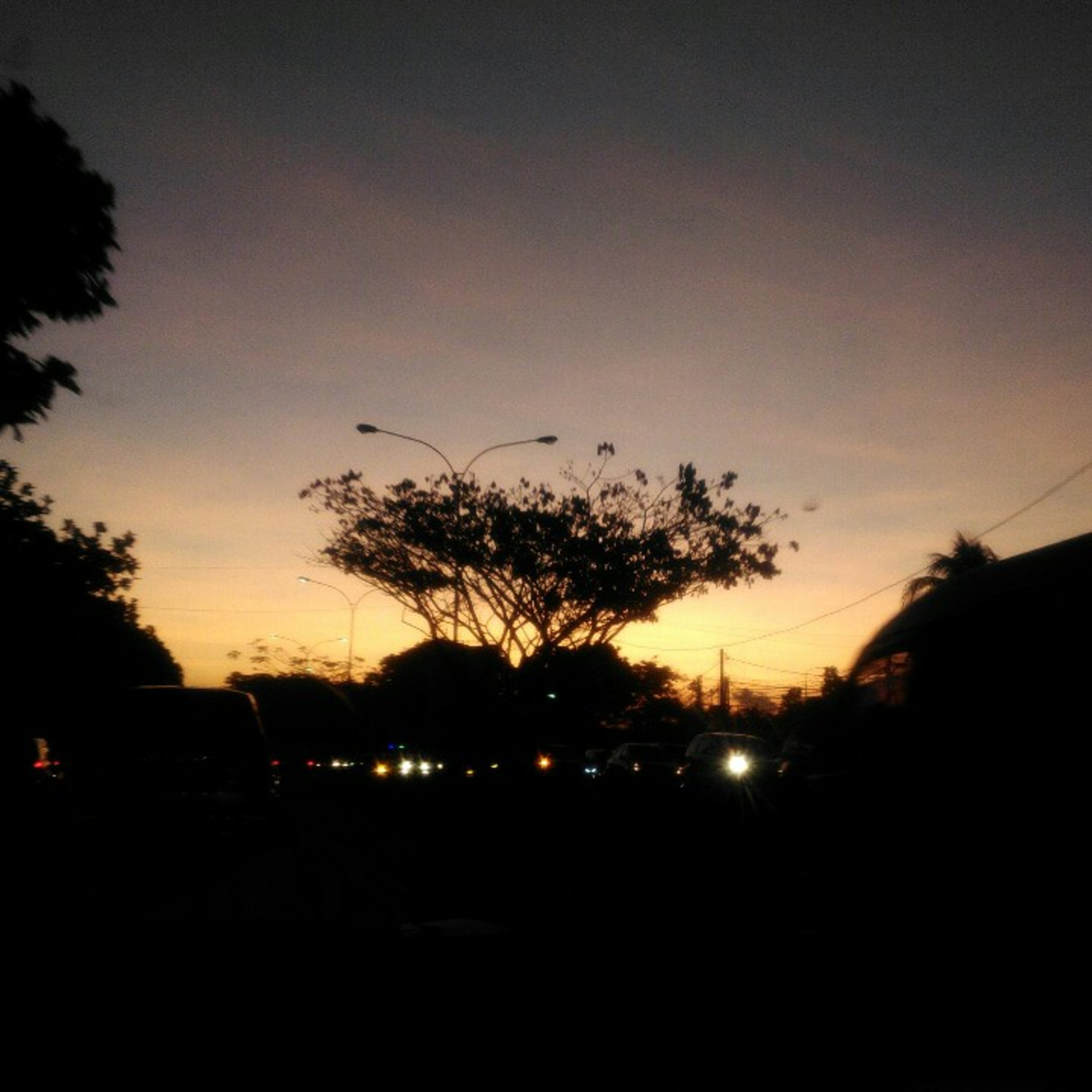 Poetkes.