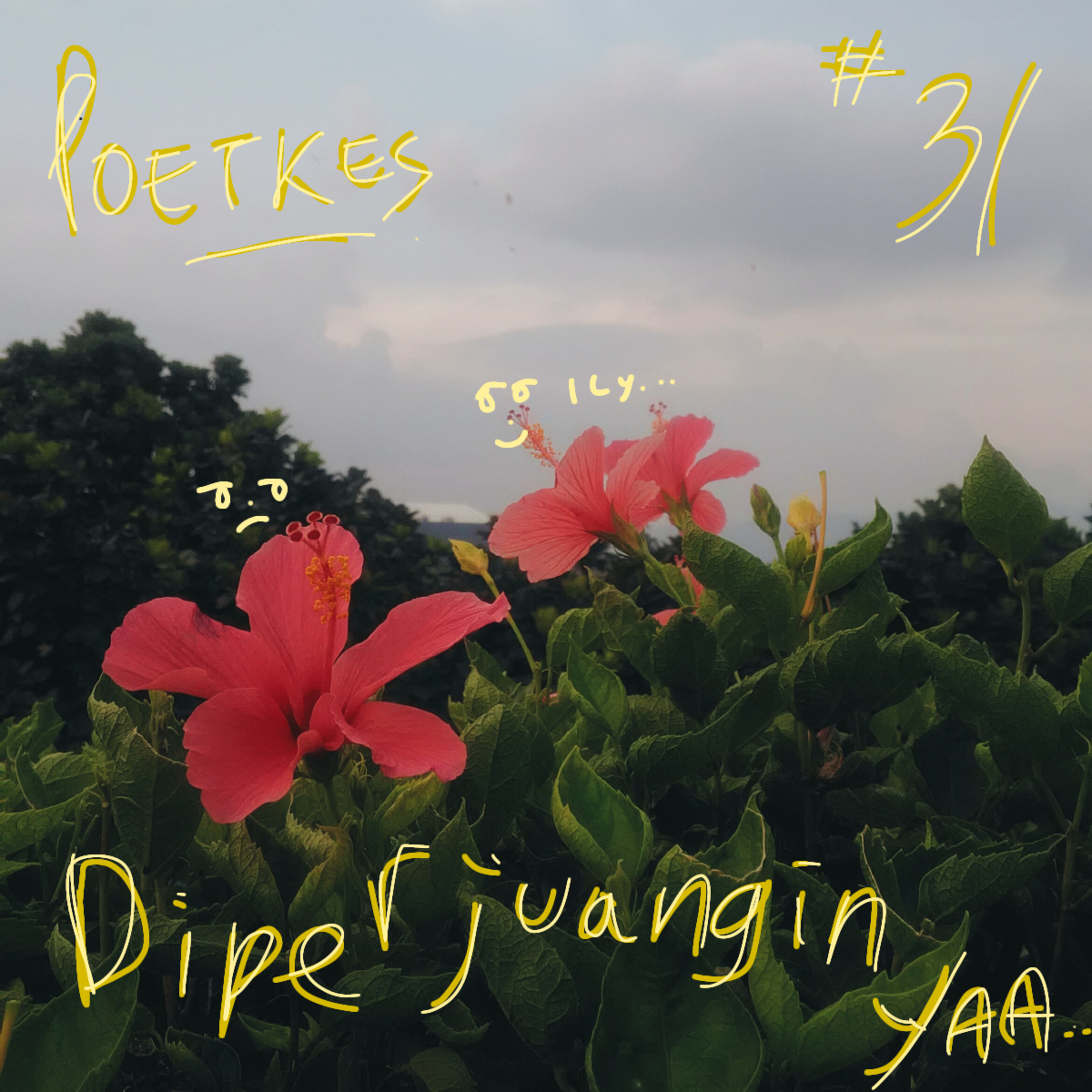 Poetkes.