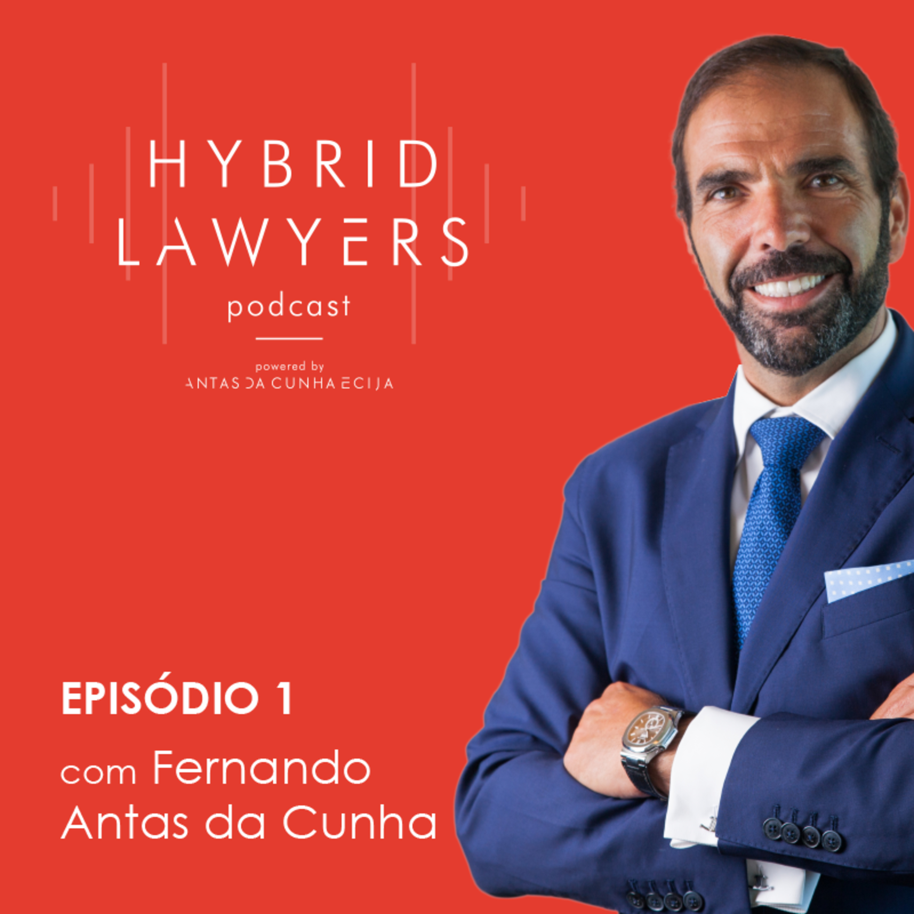 Hybrid Lawyers