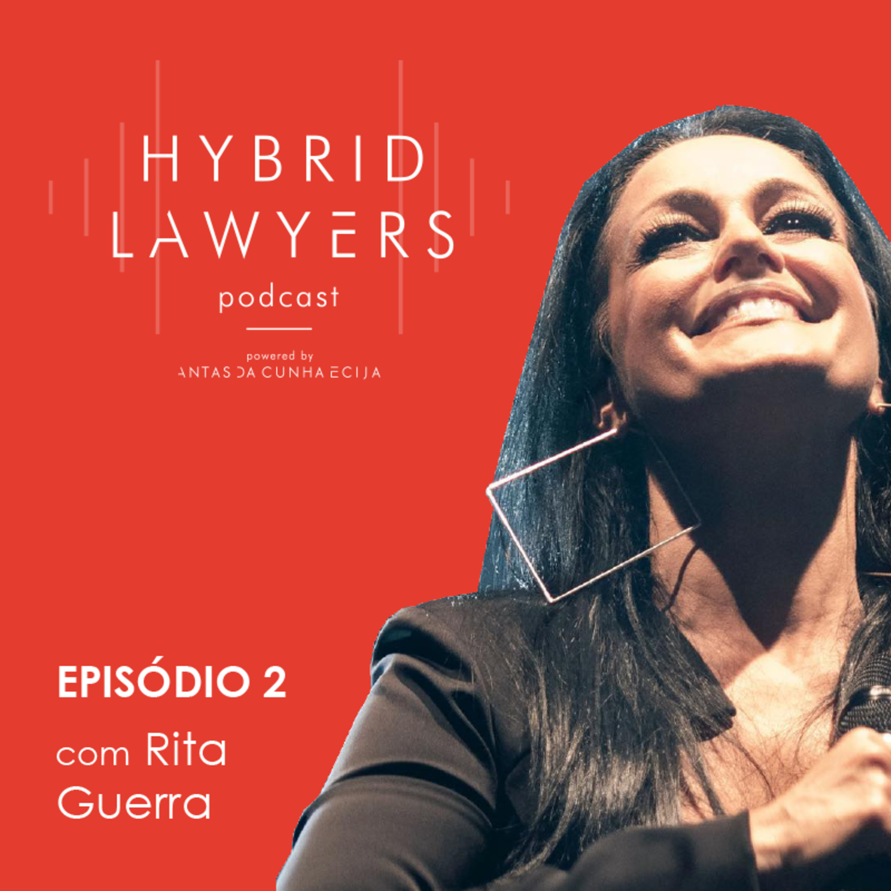 Hybrid Lawyers