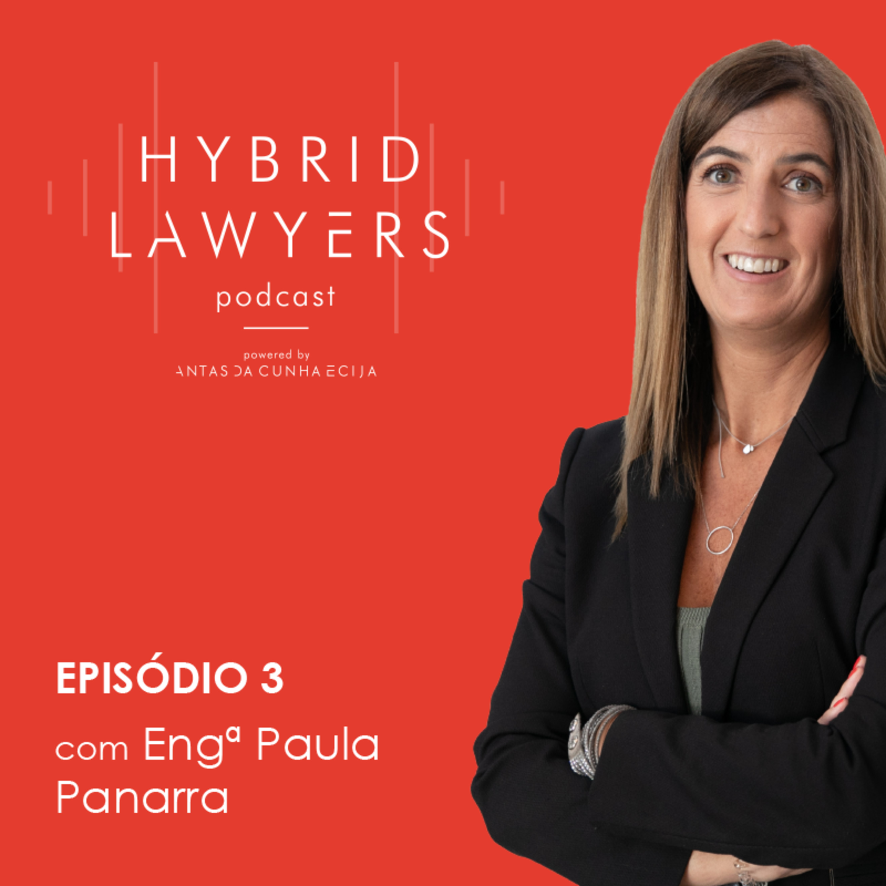 Hybrid Lawyers