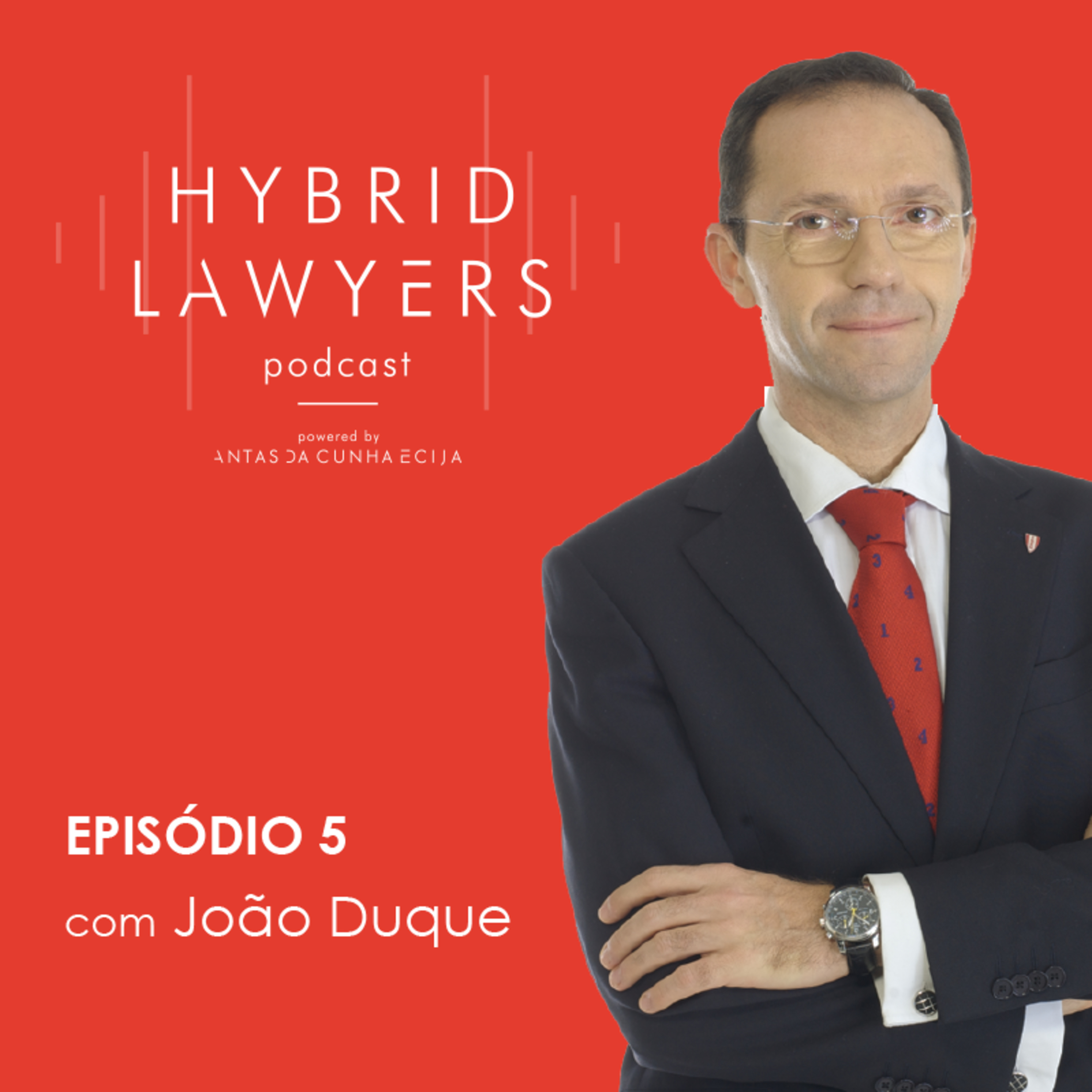 Hybrid Lawyers