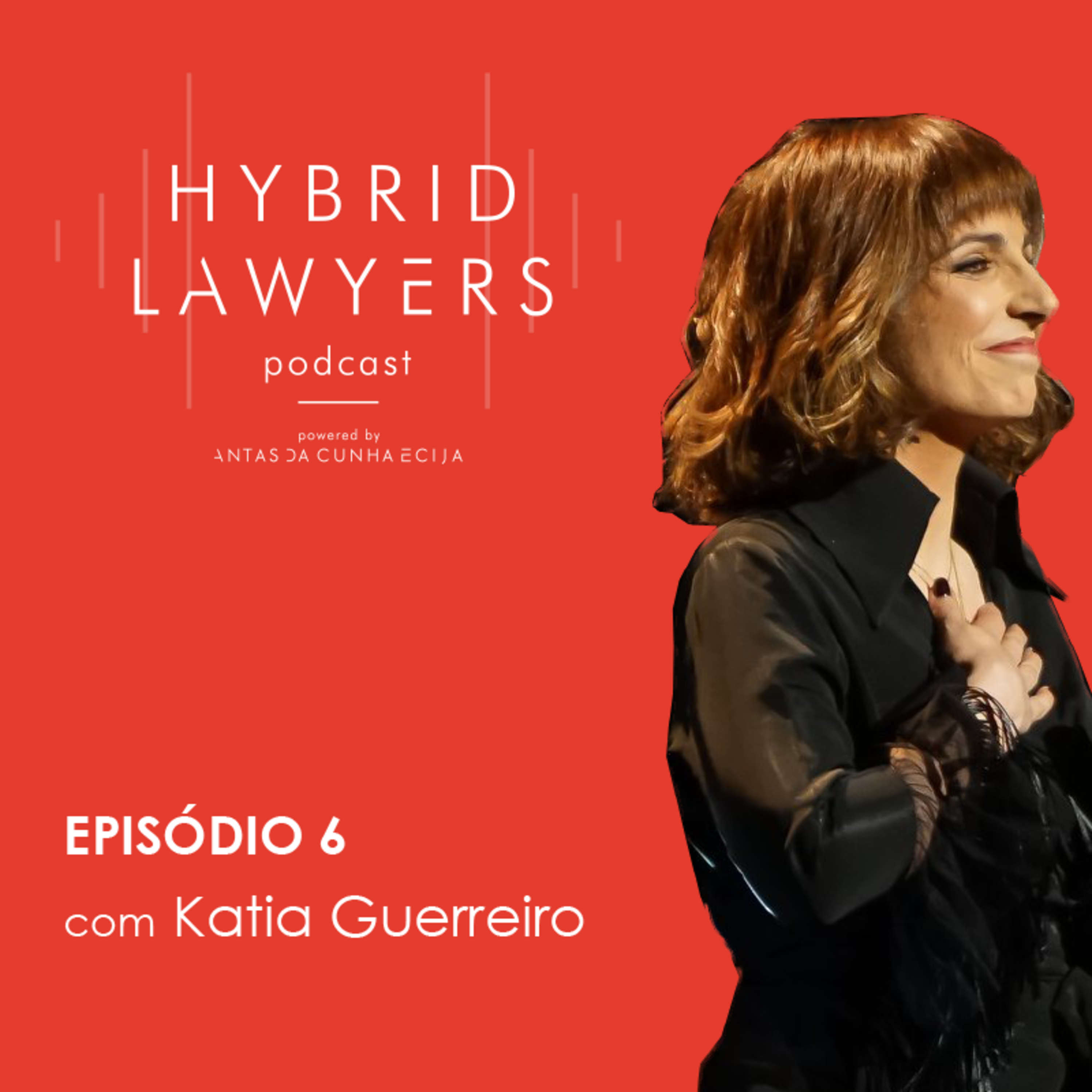Hybrid Lawyers
