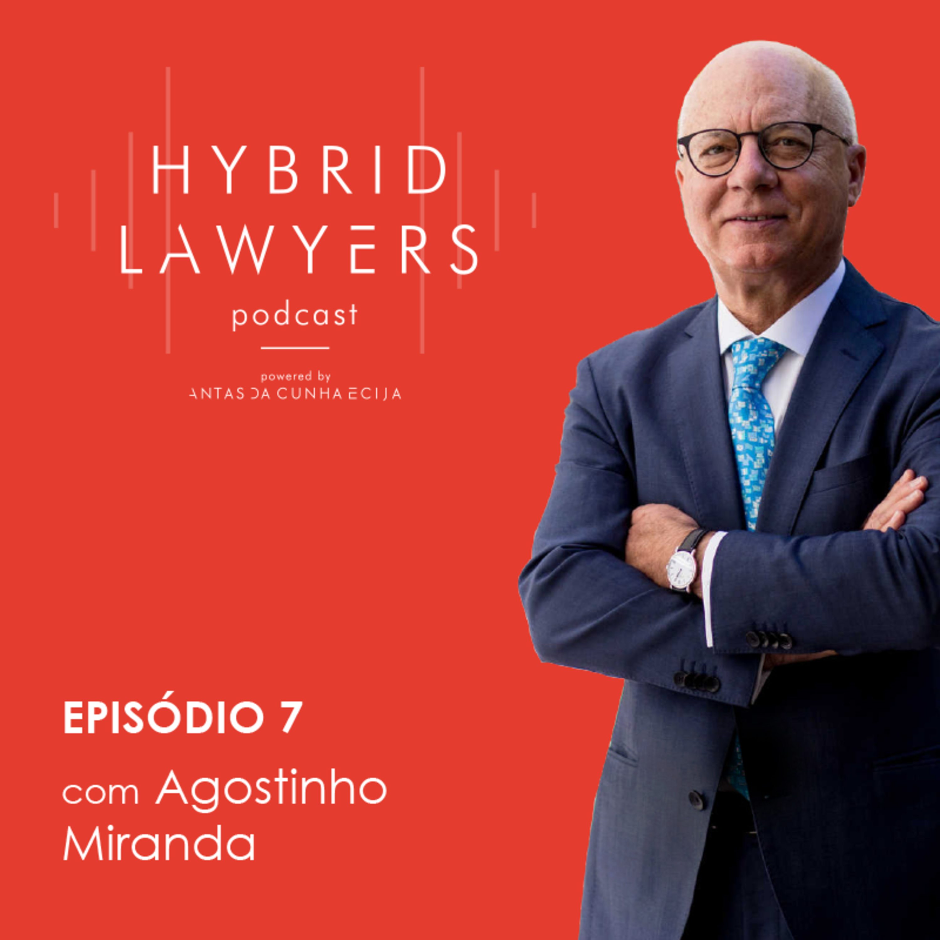Hybrid Lawyers