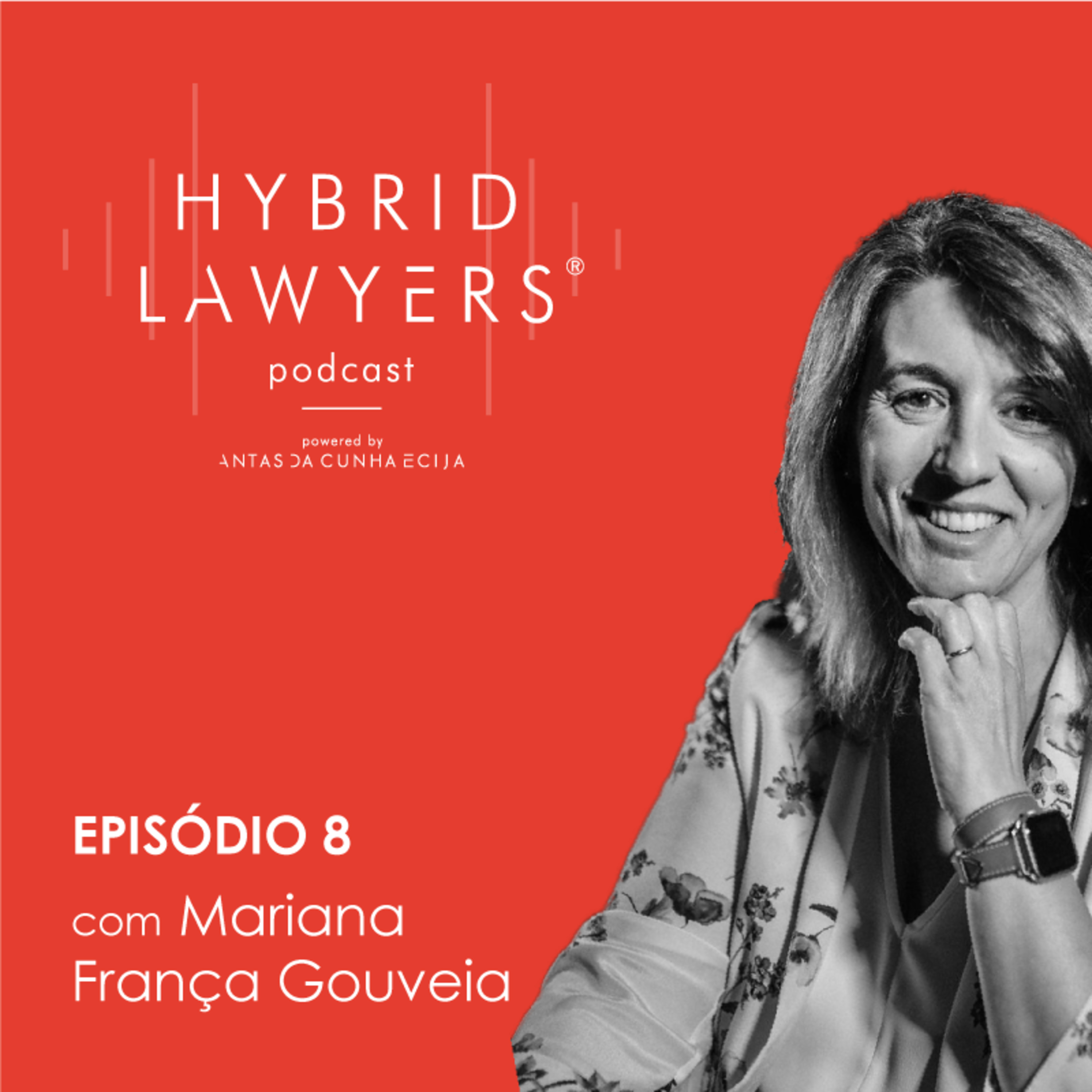 Hybrid Lawyers