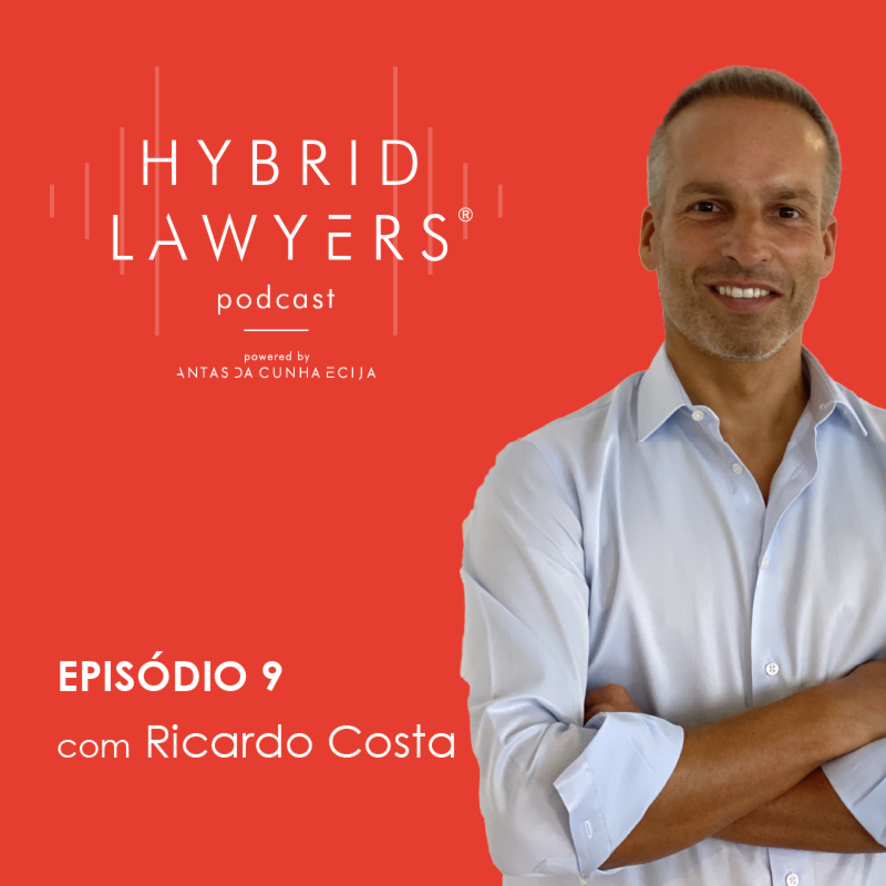 Hybrid Lawyers