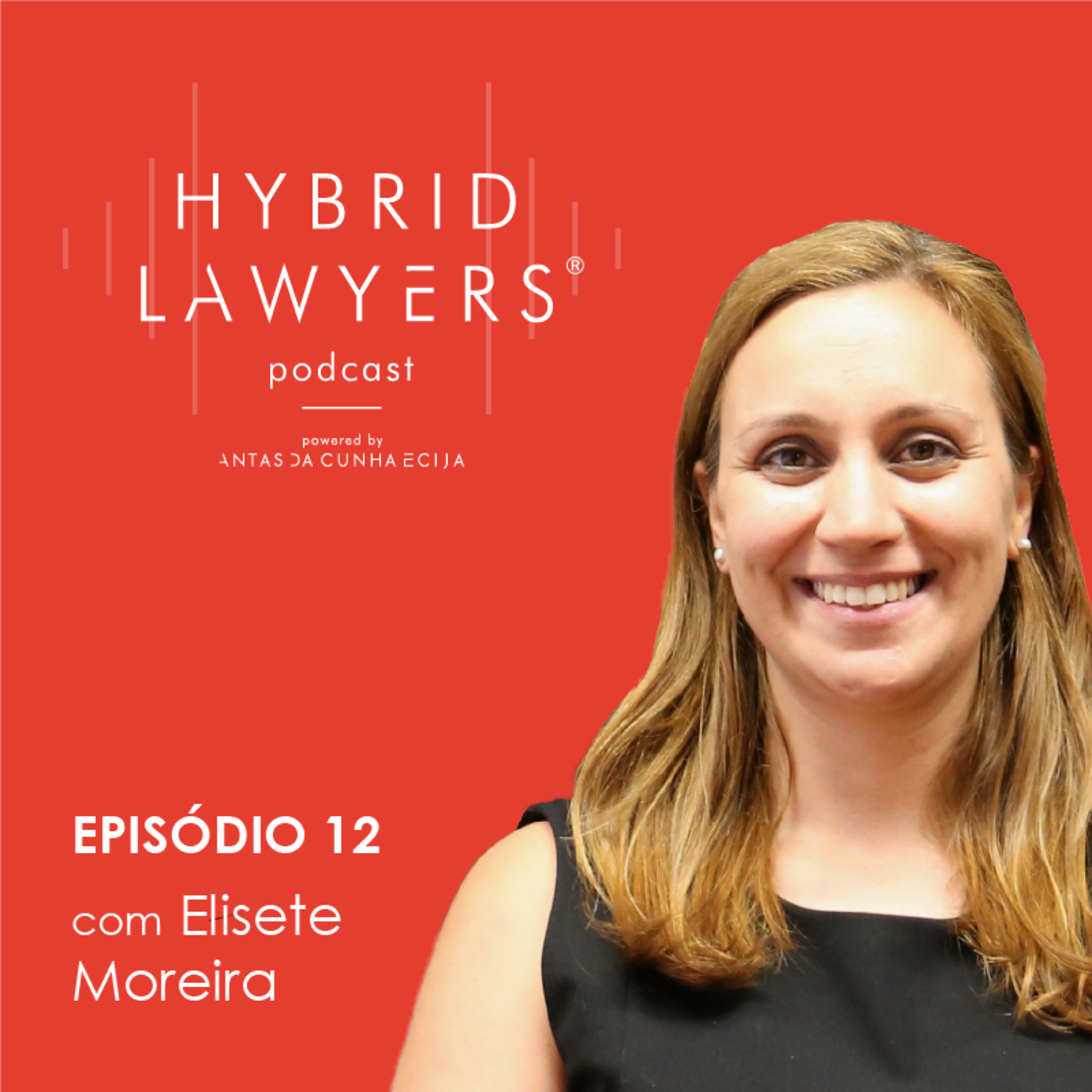 Hybrid Lawyers