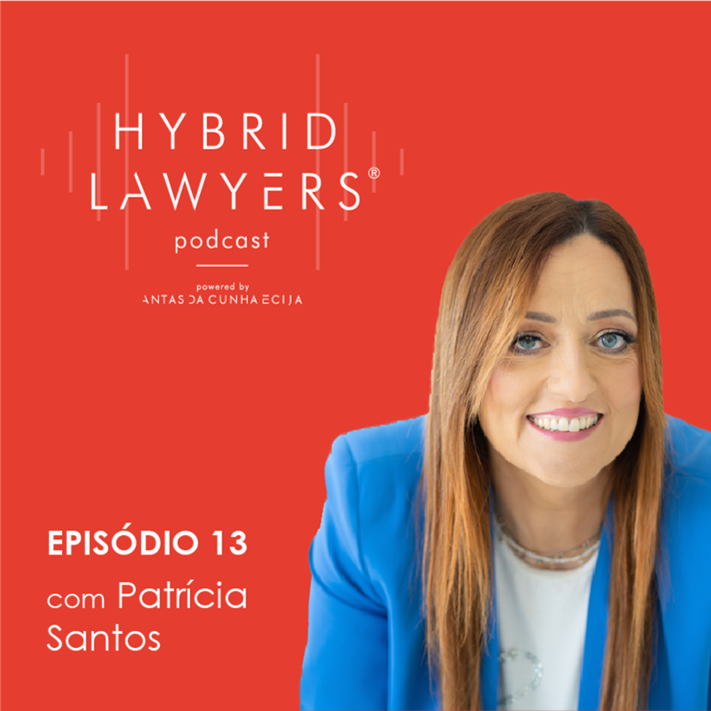 Hybrid Lawyers
