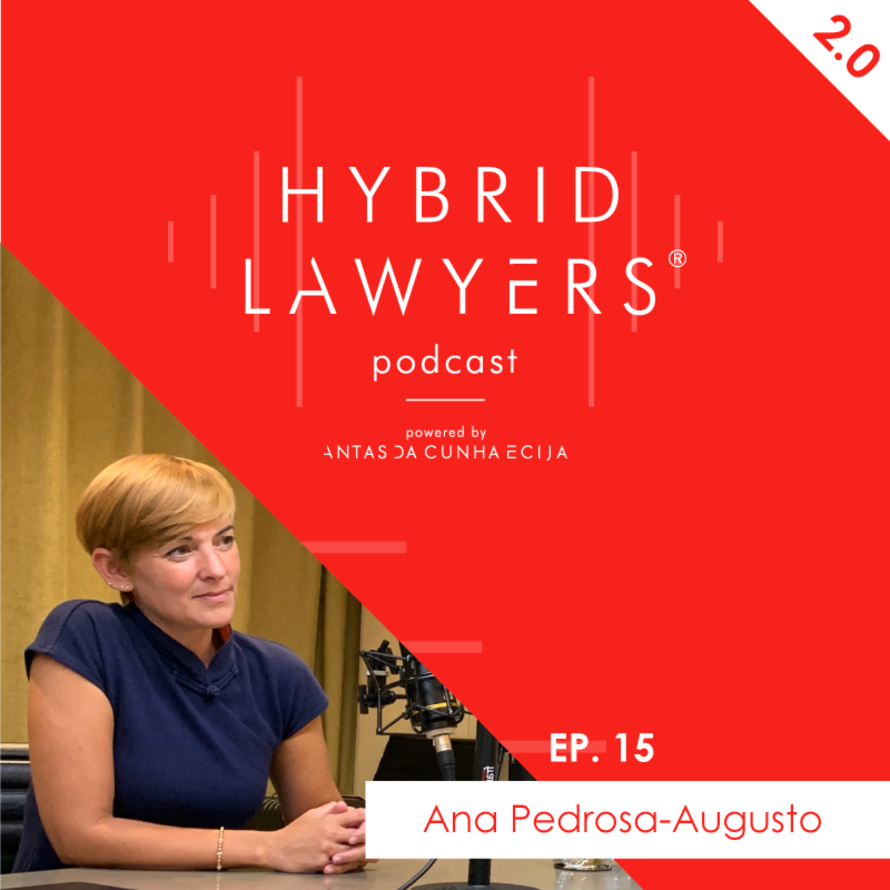 Hybrid Lawyers