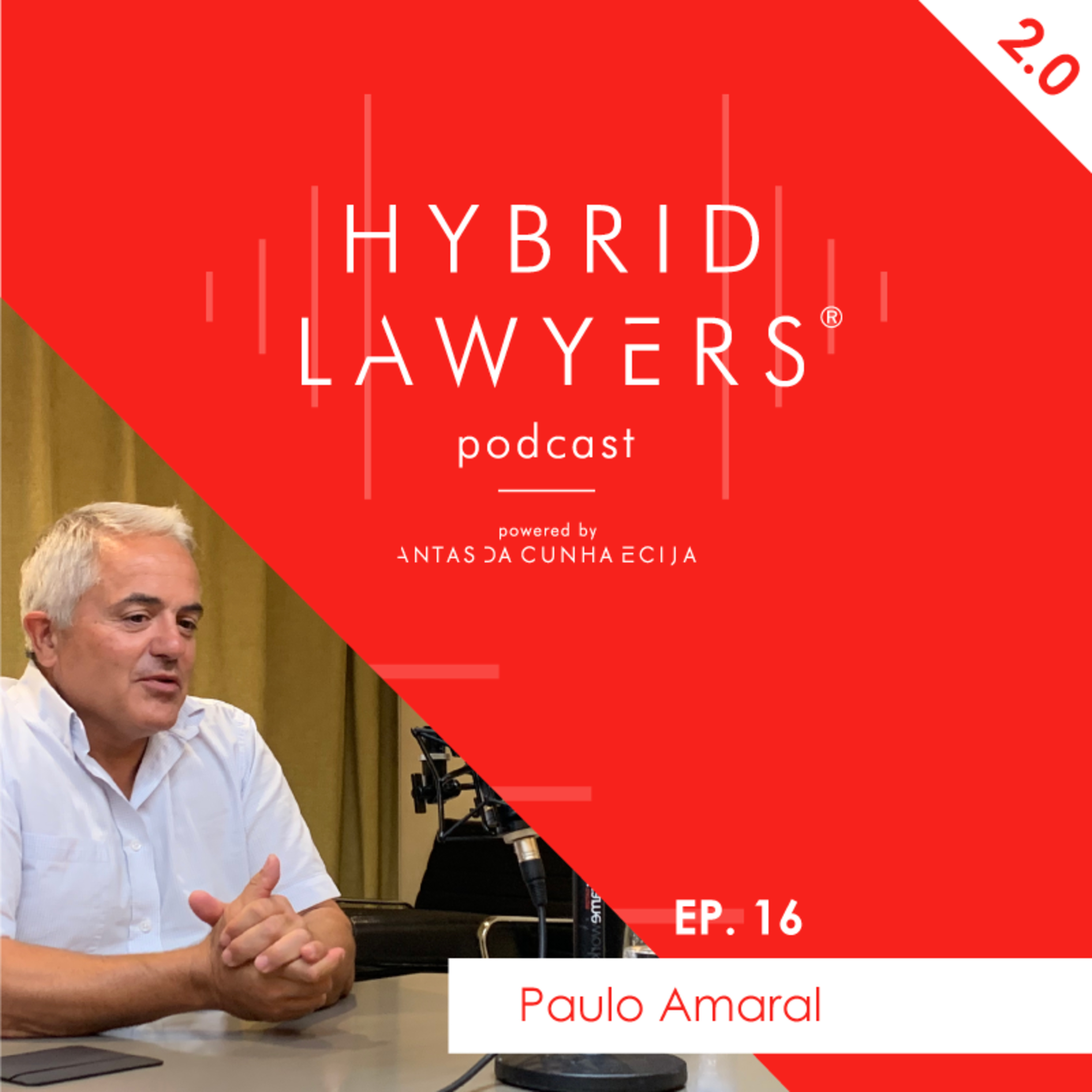 Hybrid Lawyers