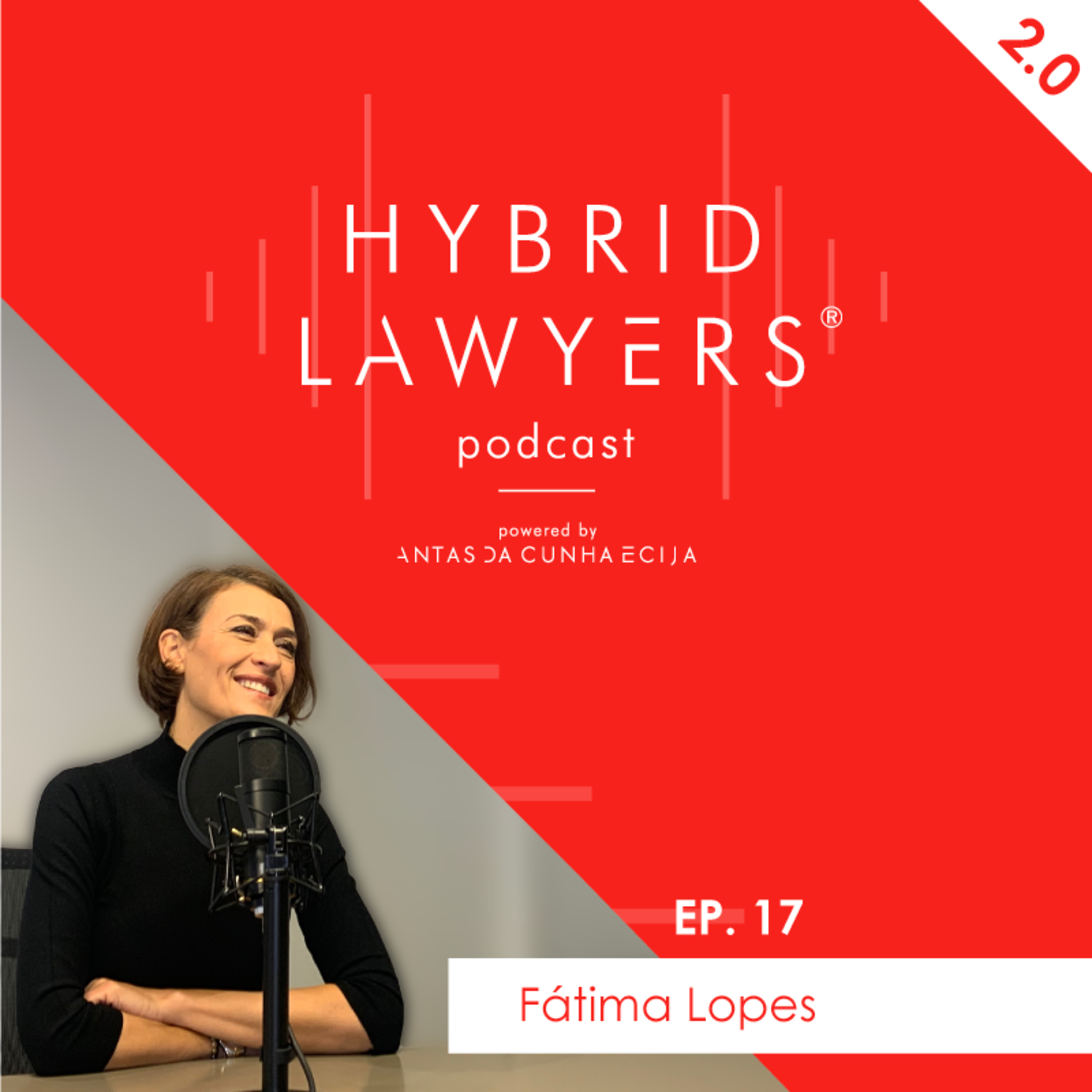 Hybrid Lawyers