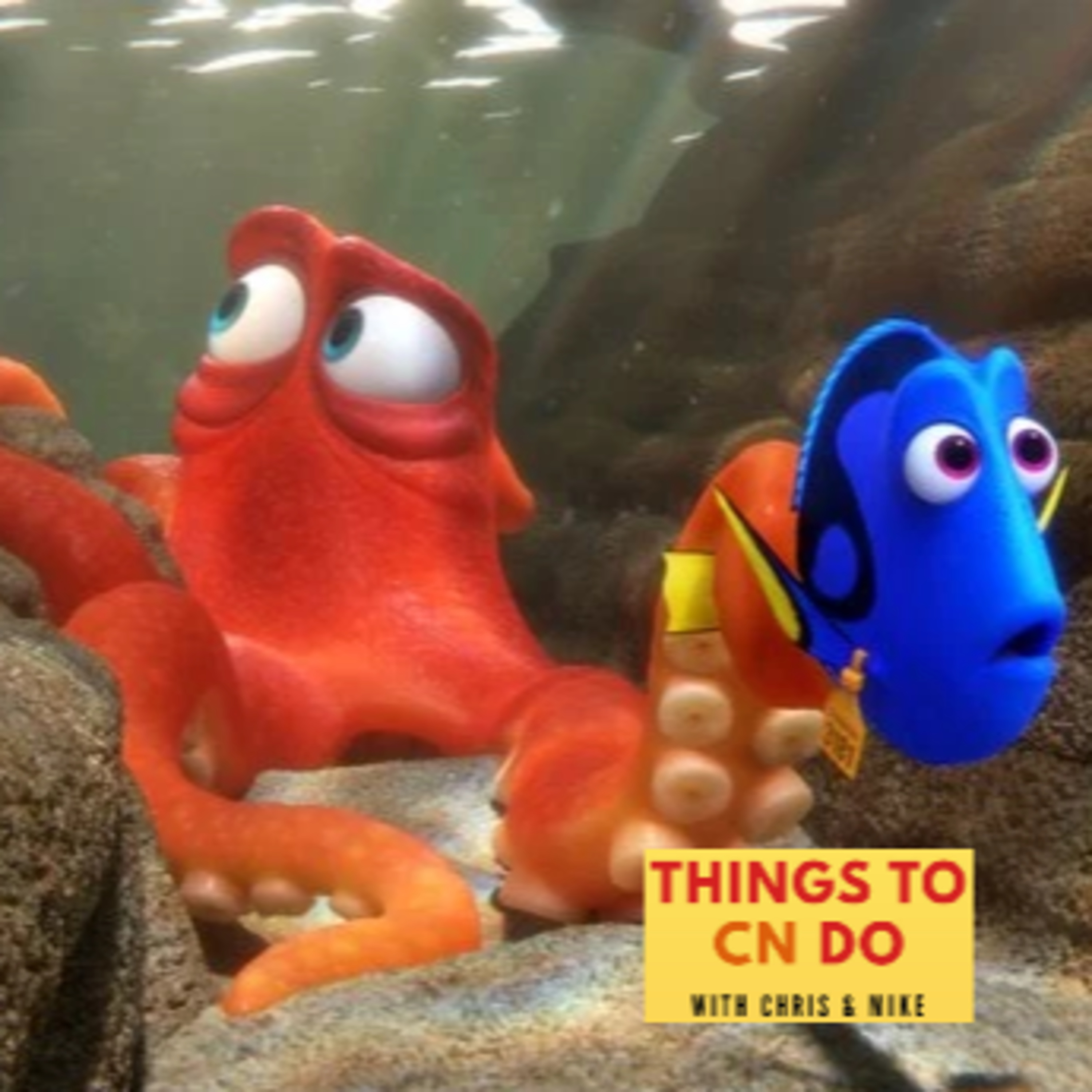 Things to CN do