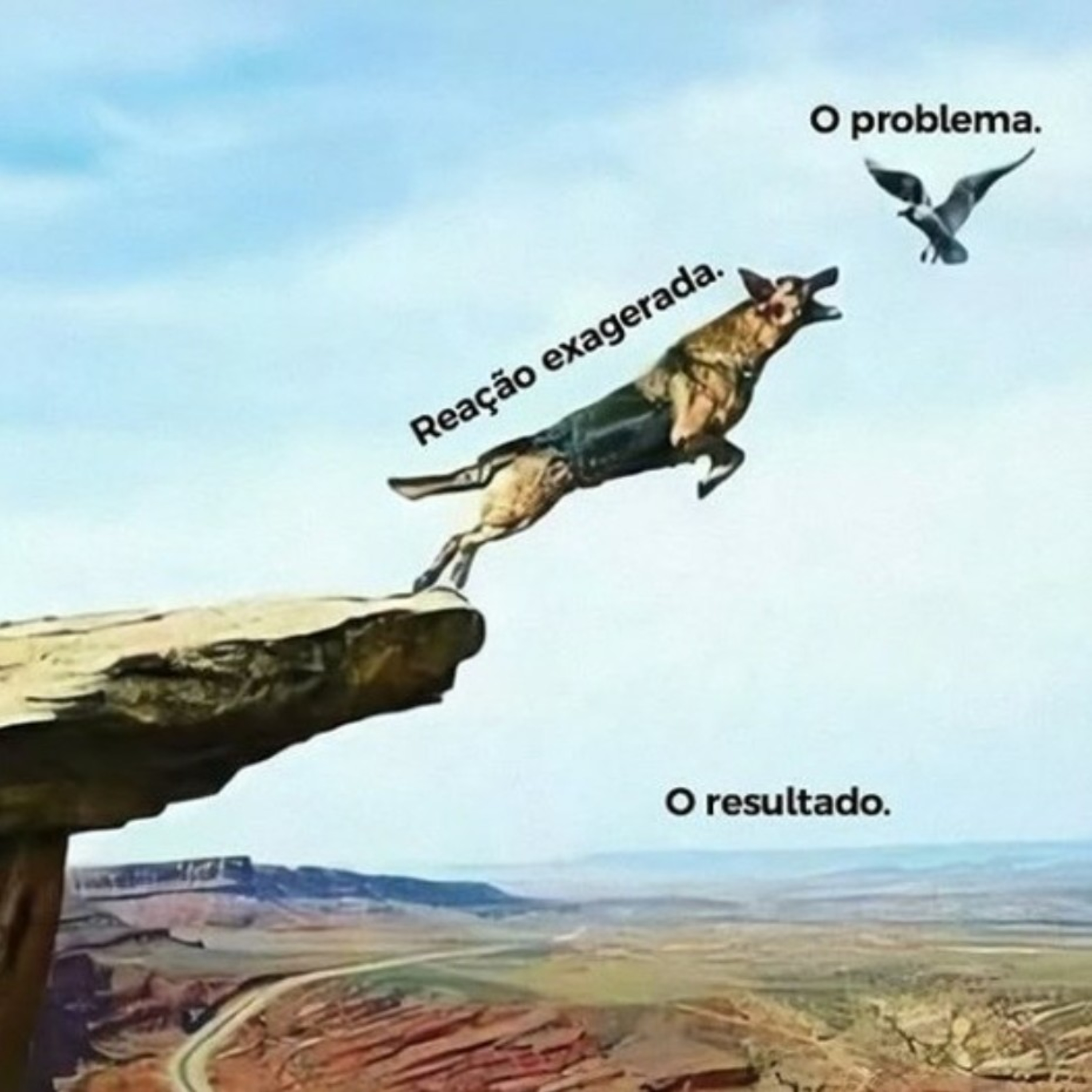 1 Conselho - 1 Minuto