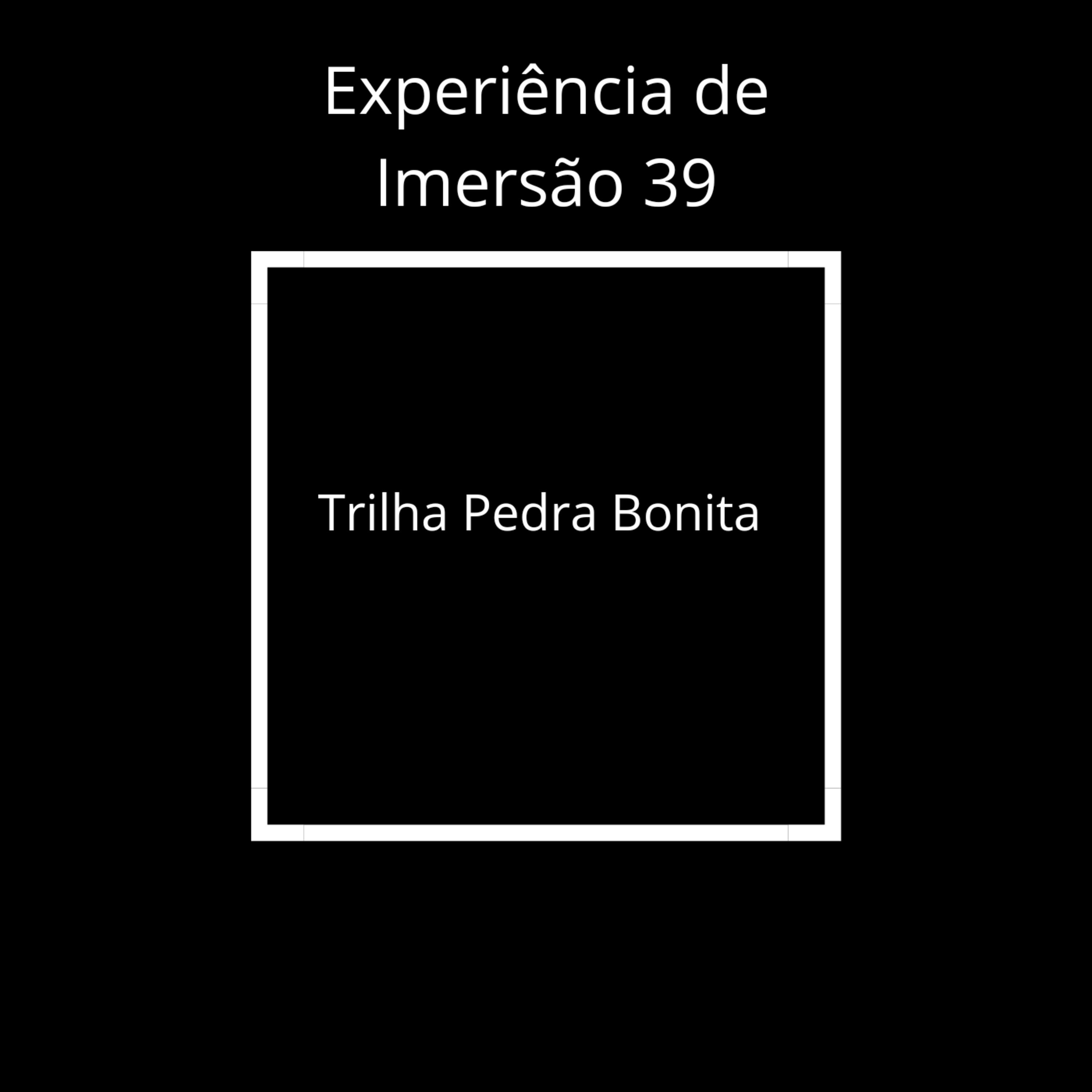 Experiência de Imersão 39