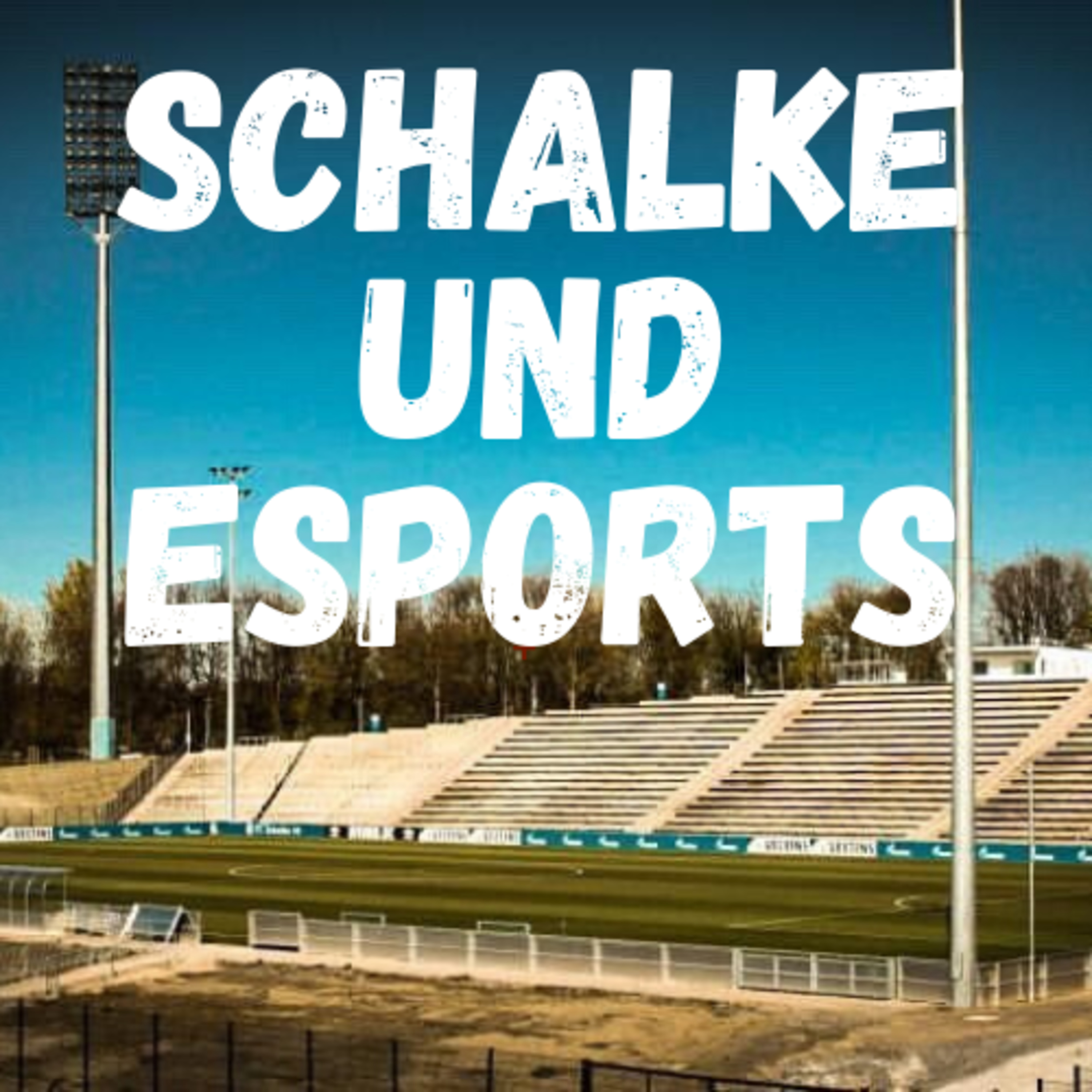 Schalke 04 und E-Sport - Warum investiert S04 in Fifa, PES, LOL und CO - S04 Kumpel Podcast #1