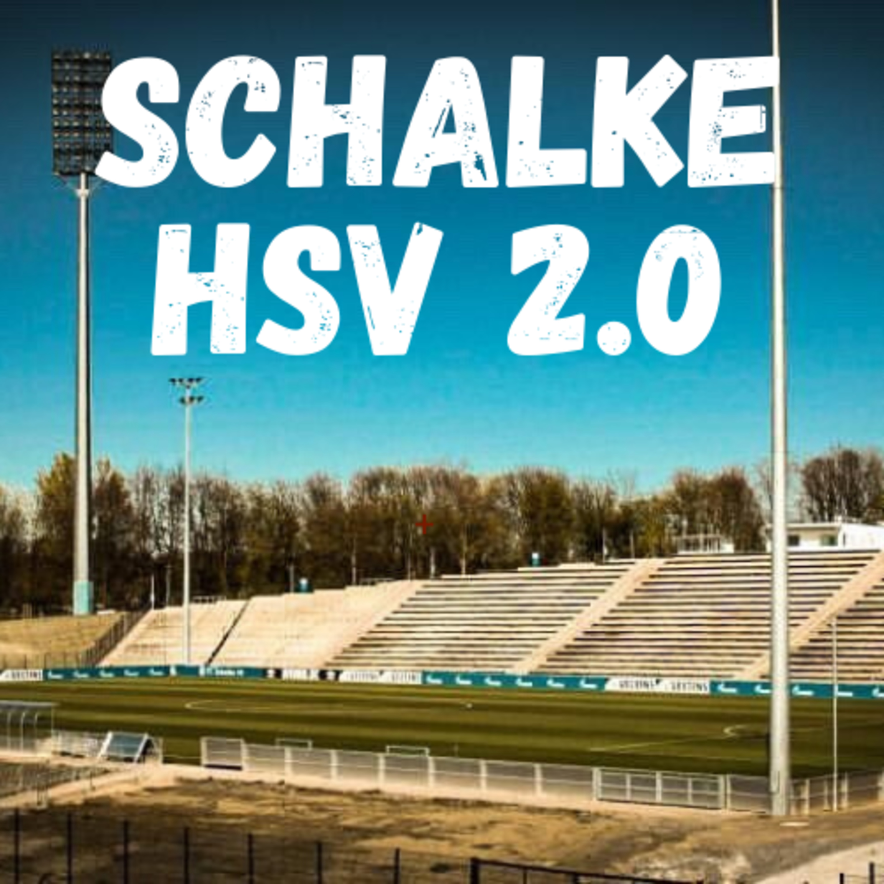 Wird Schalke HSV 2.0? Königsblau im freien Fall. Die Analyse.