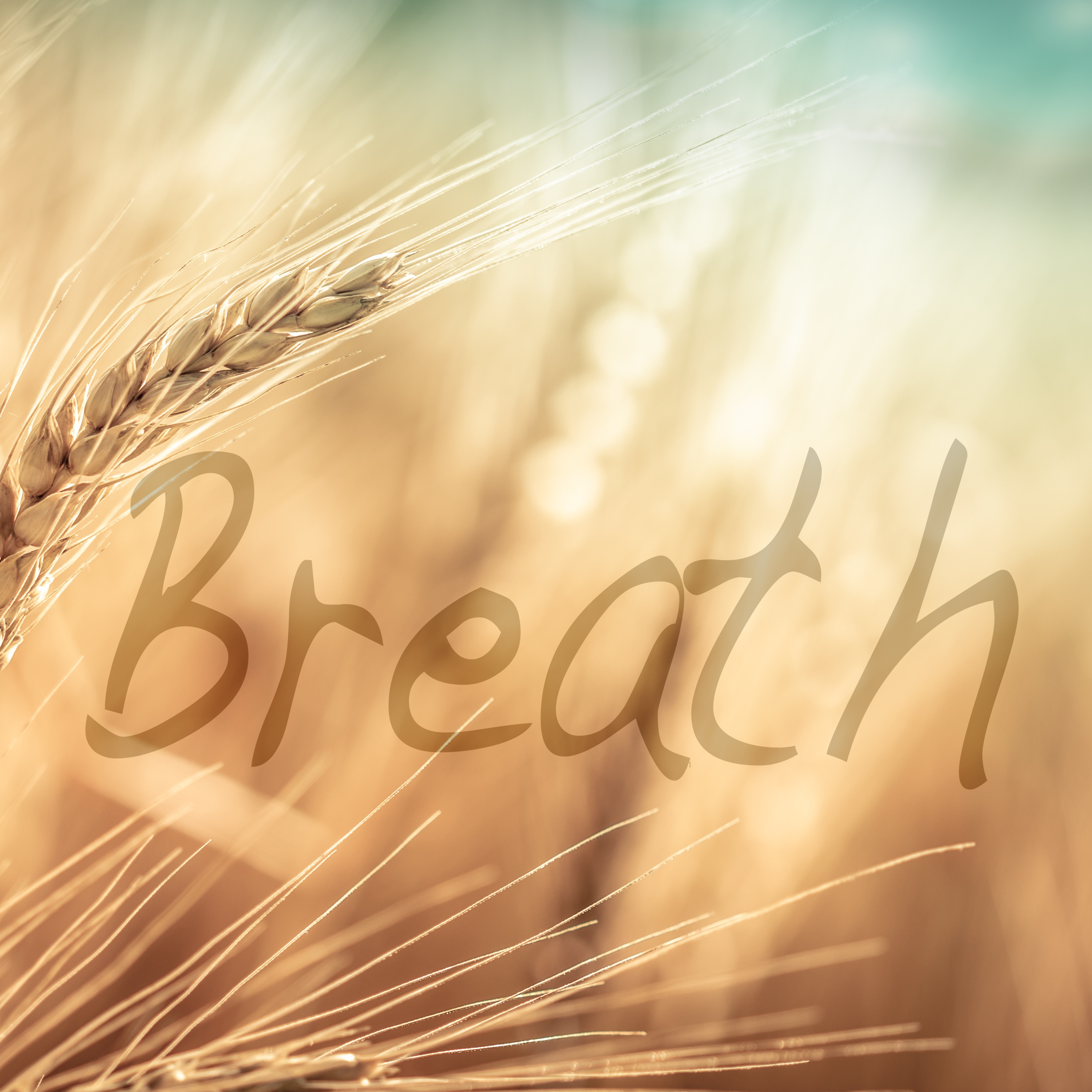 Breath episode artwork