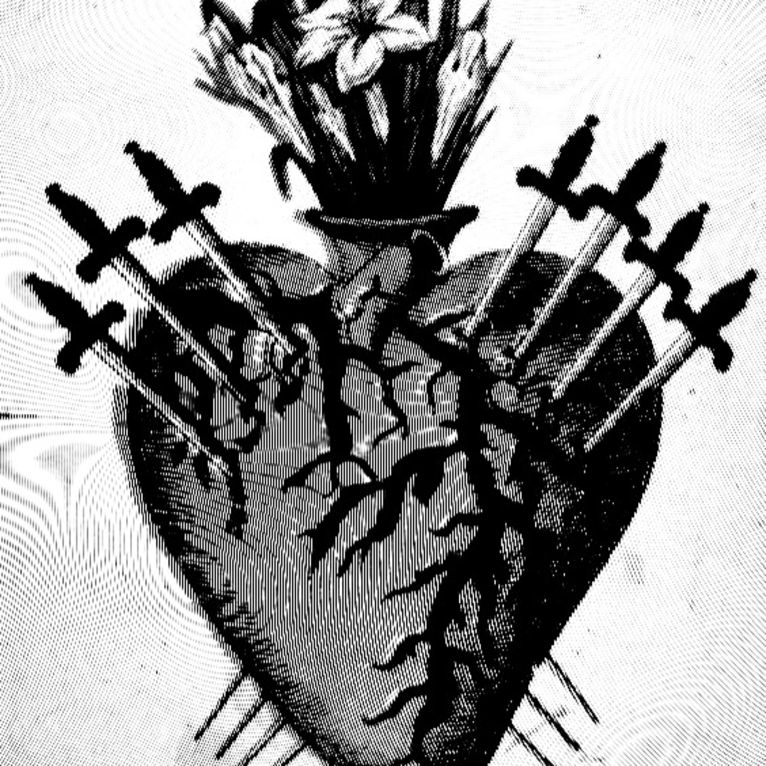 Si Qua Virtus