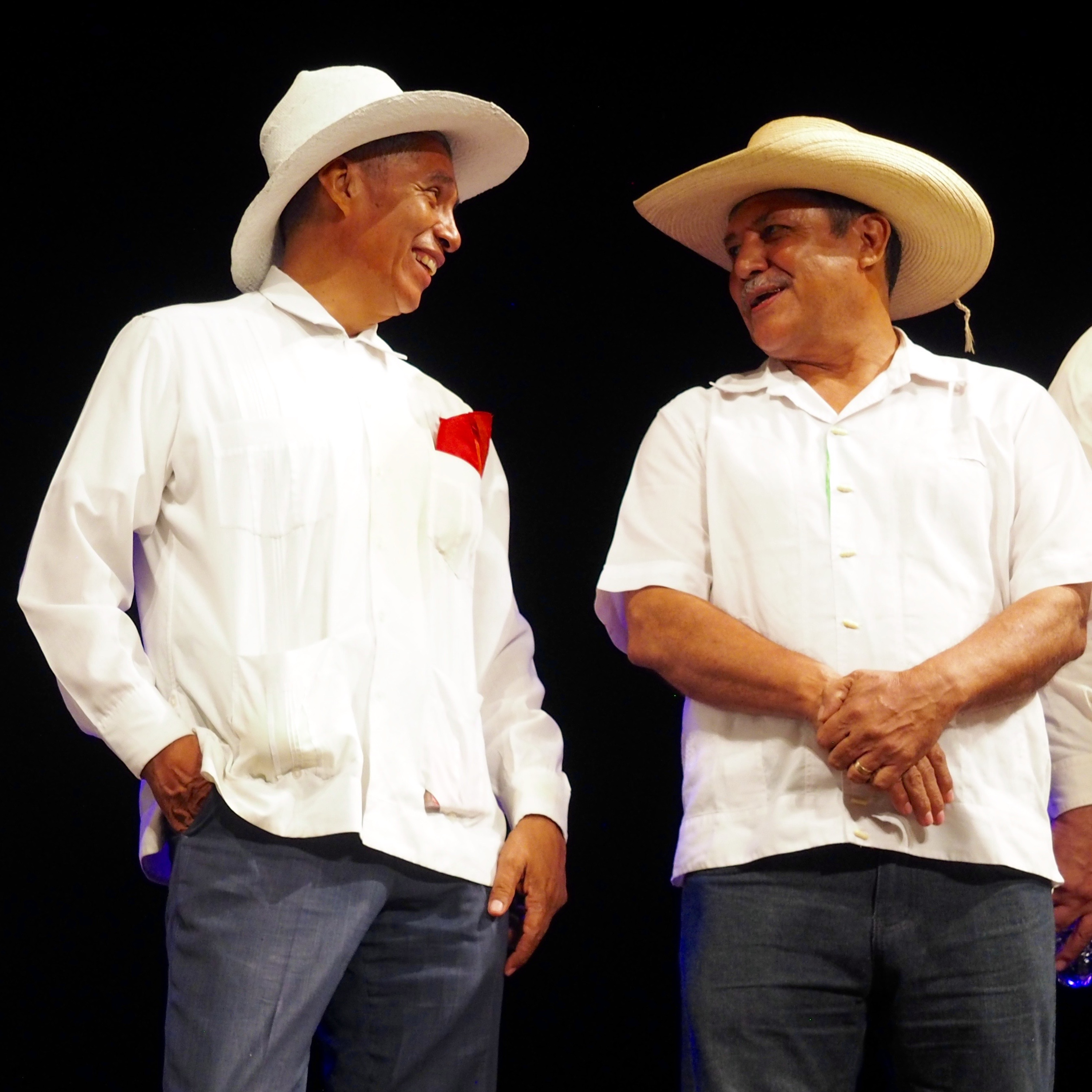 Músicos tradicionales de México