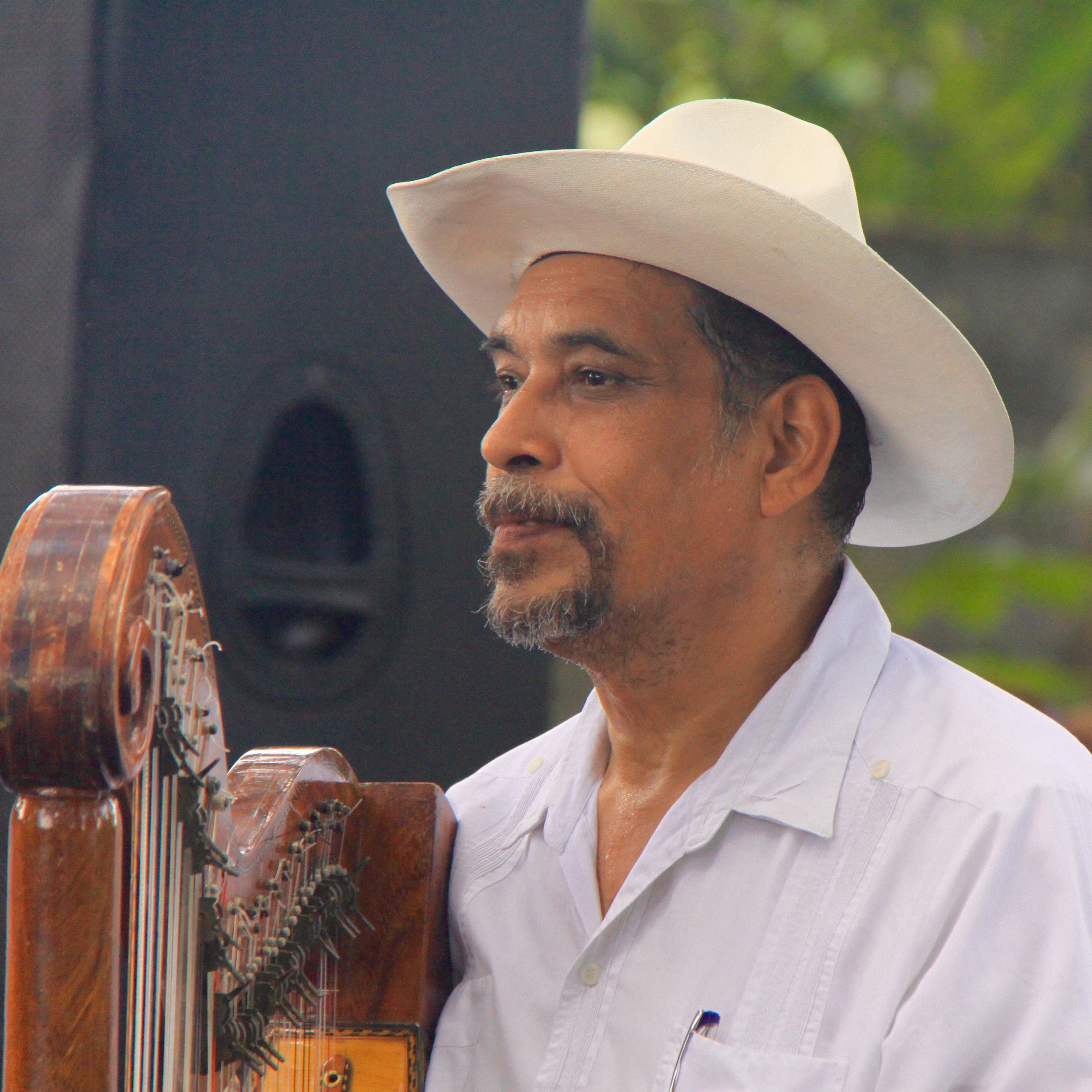 Músicos tradicionales de México