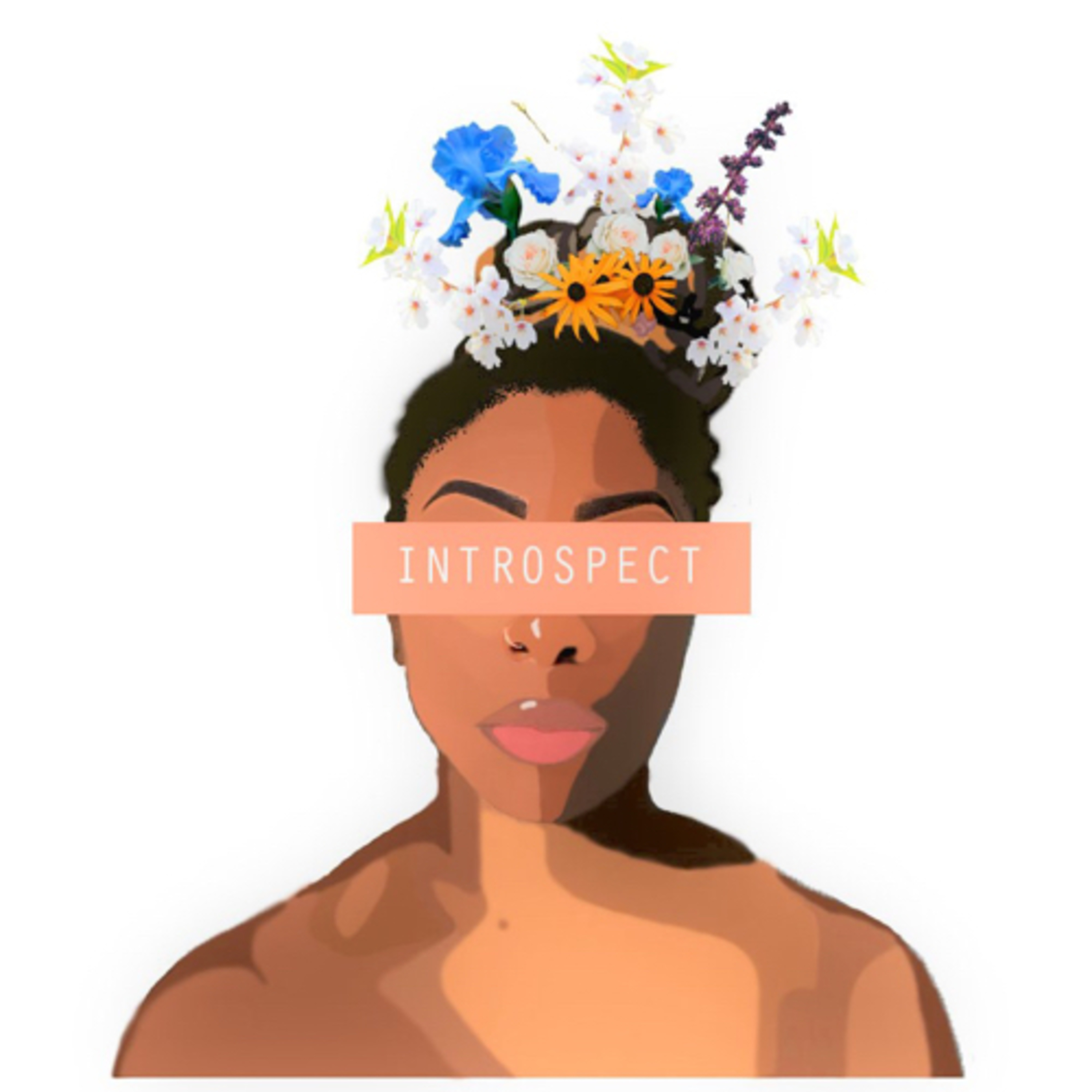 Intro to Introspect  episode artwork