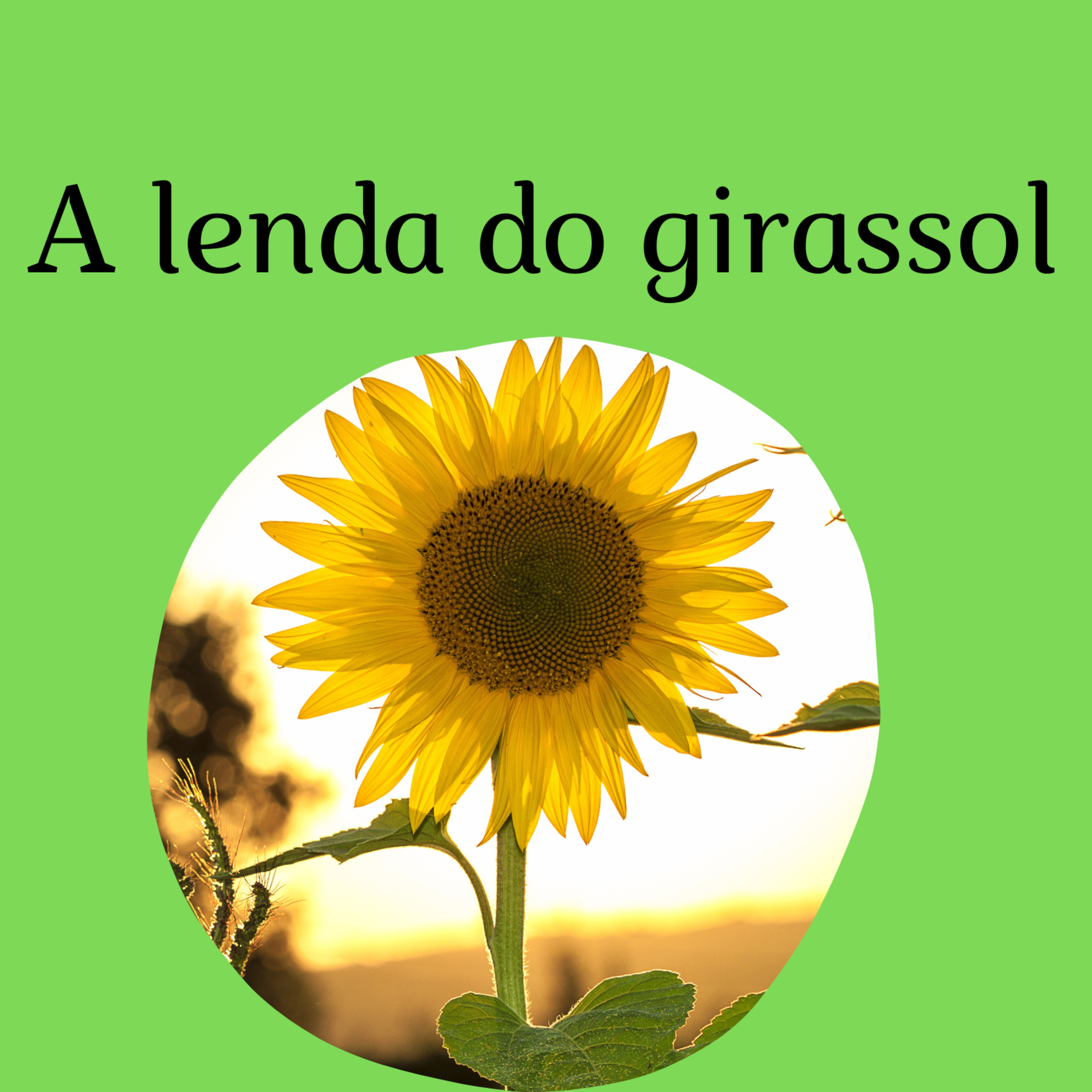 Casinha de Histórias