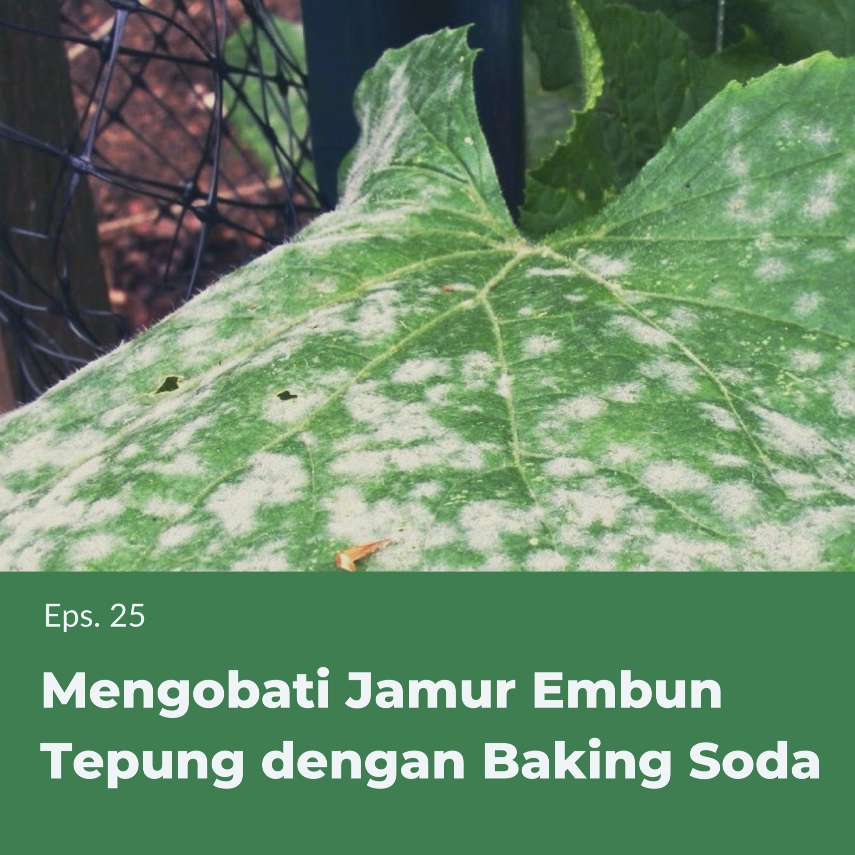 Mari Menanam
