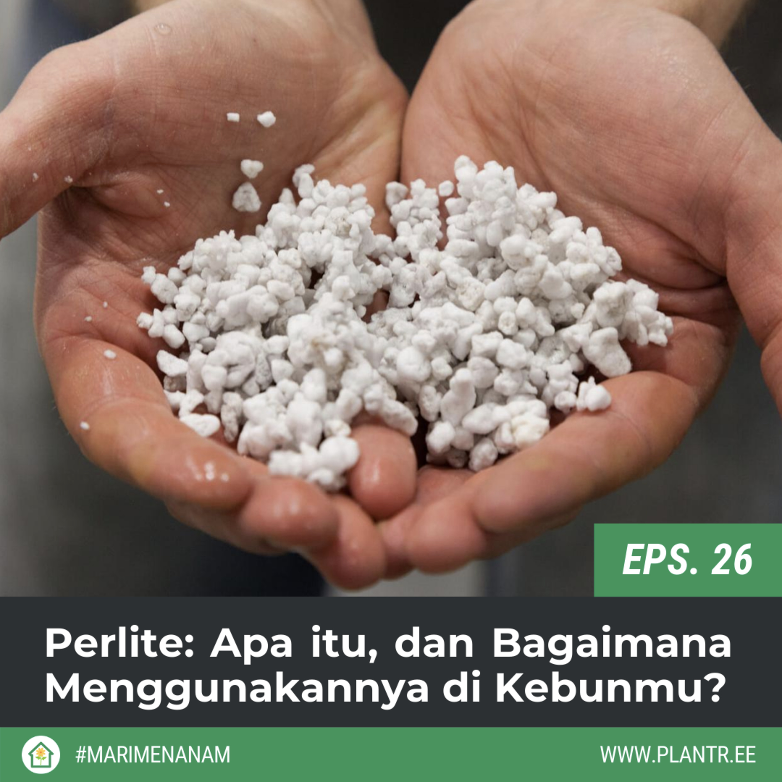 Mari Menanam