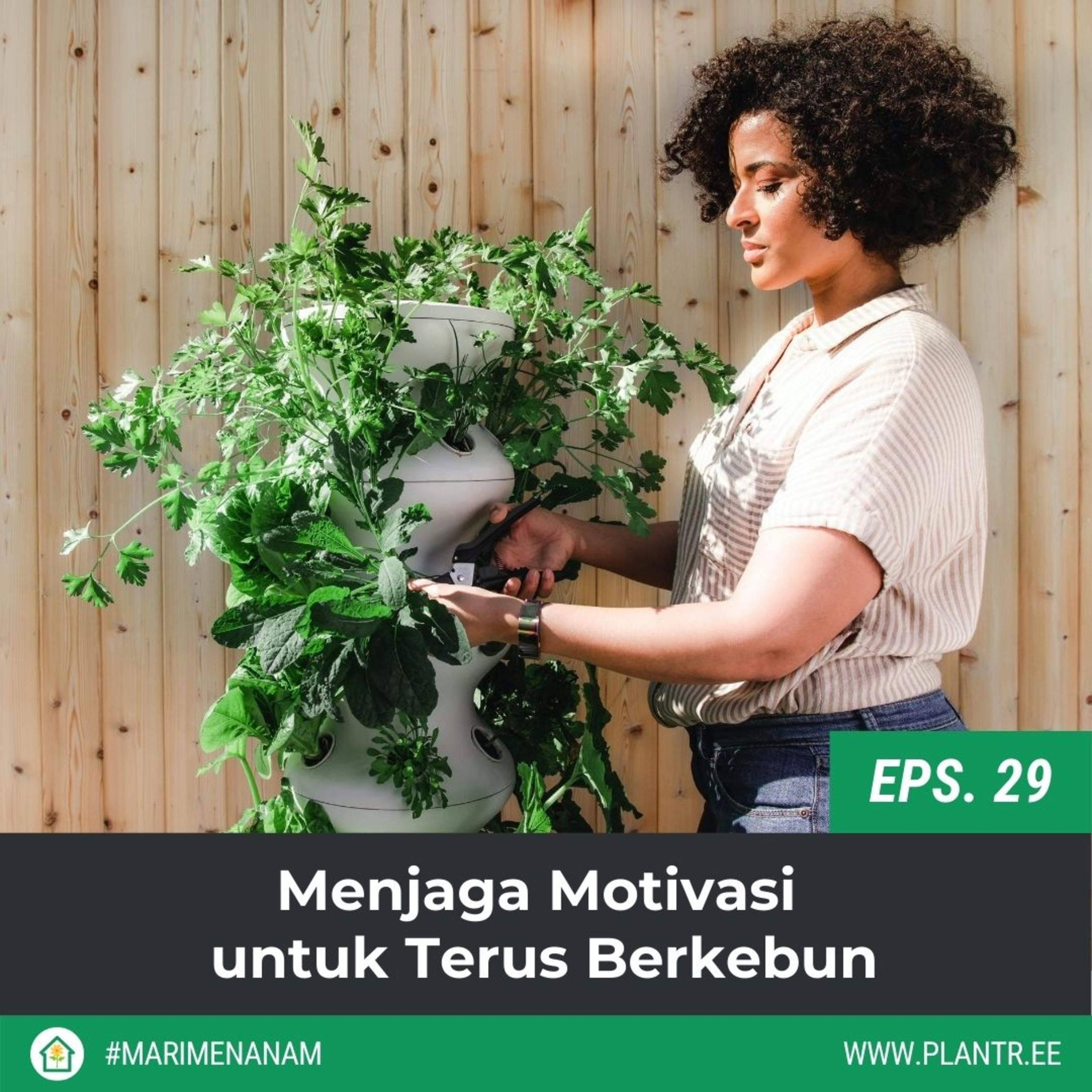 Mari Menanam