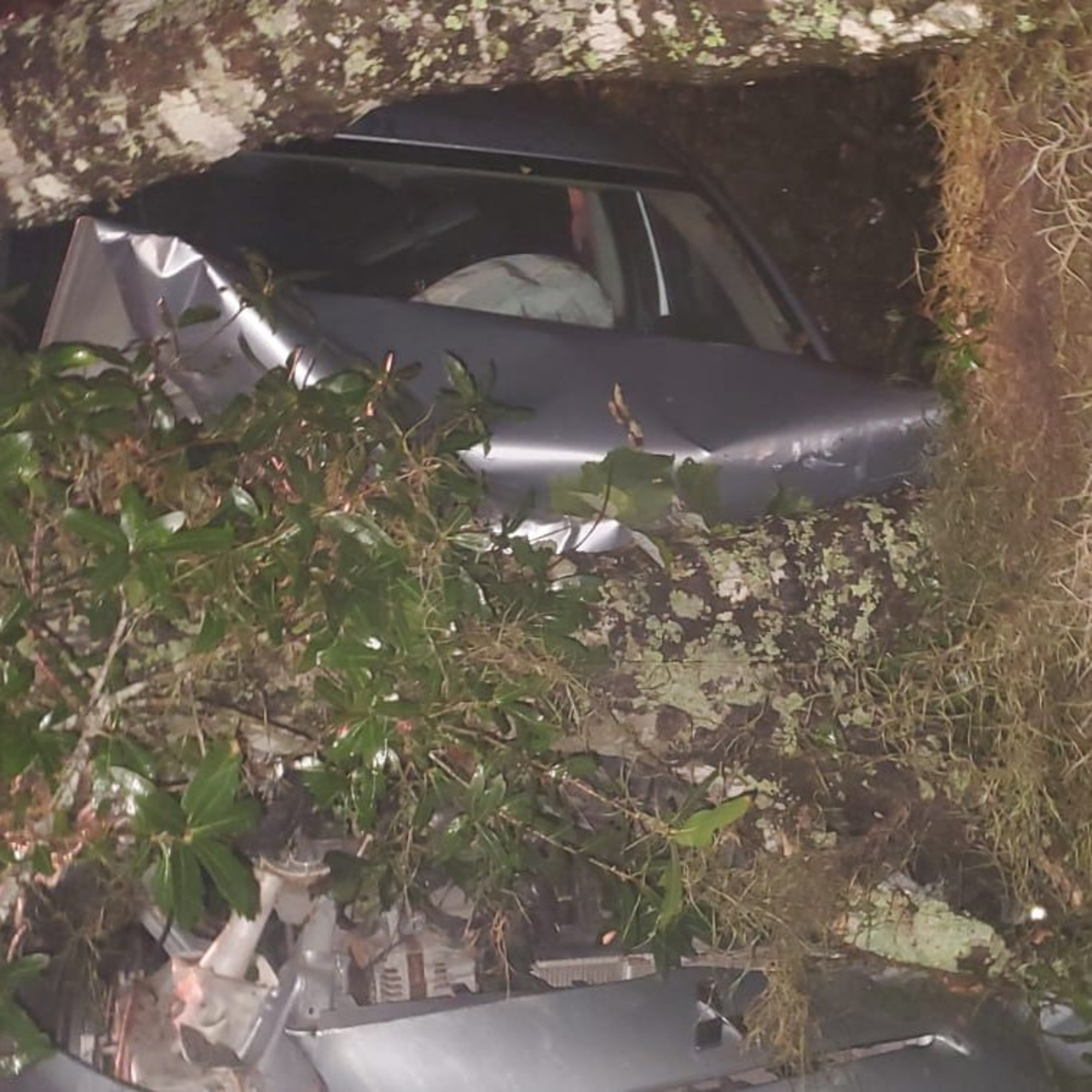 150 Testimonio De Mi Accidente Automovilístico
