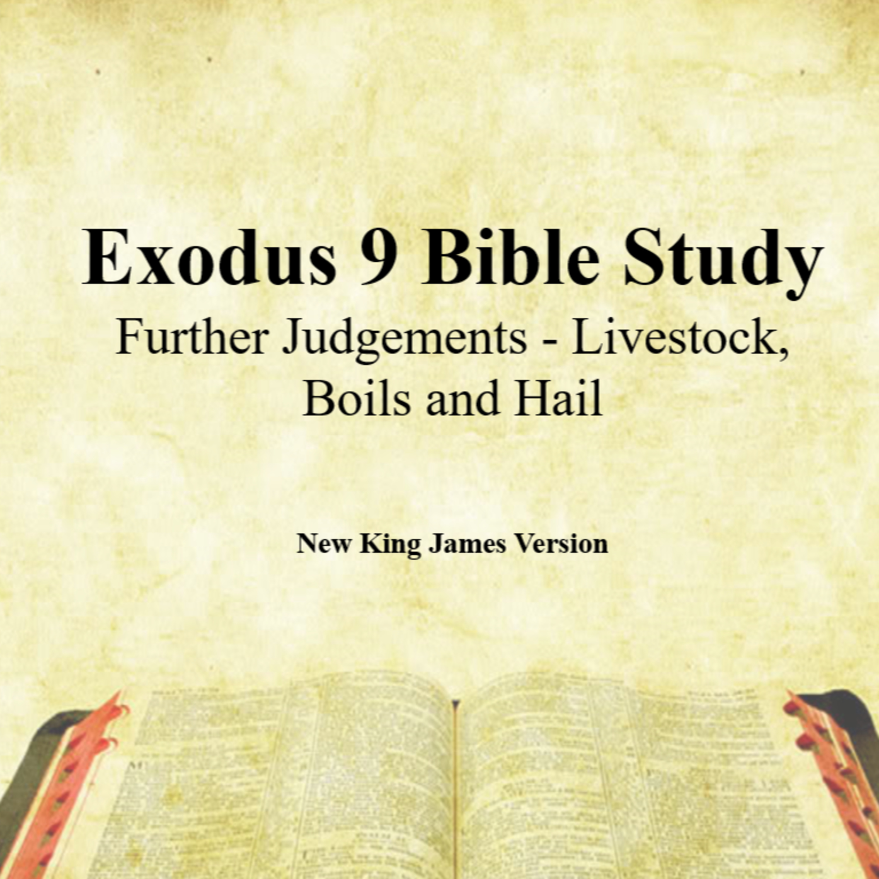 Jeandre Fourie - Preaching and Teaching - Bible based Exposition