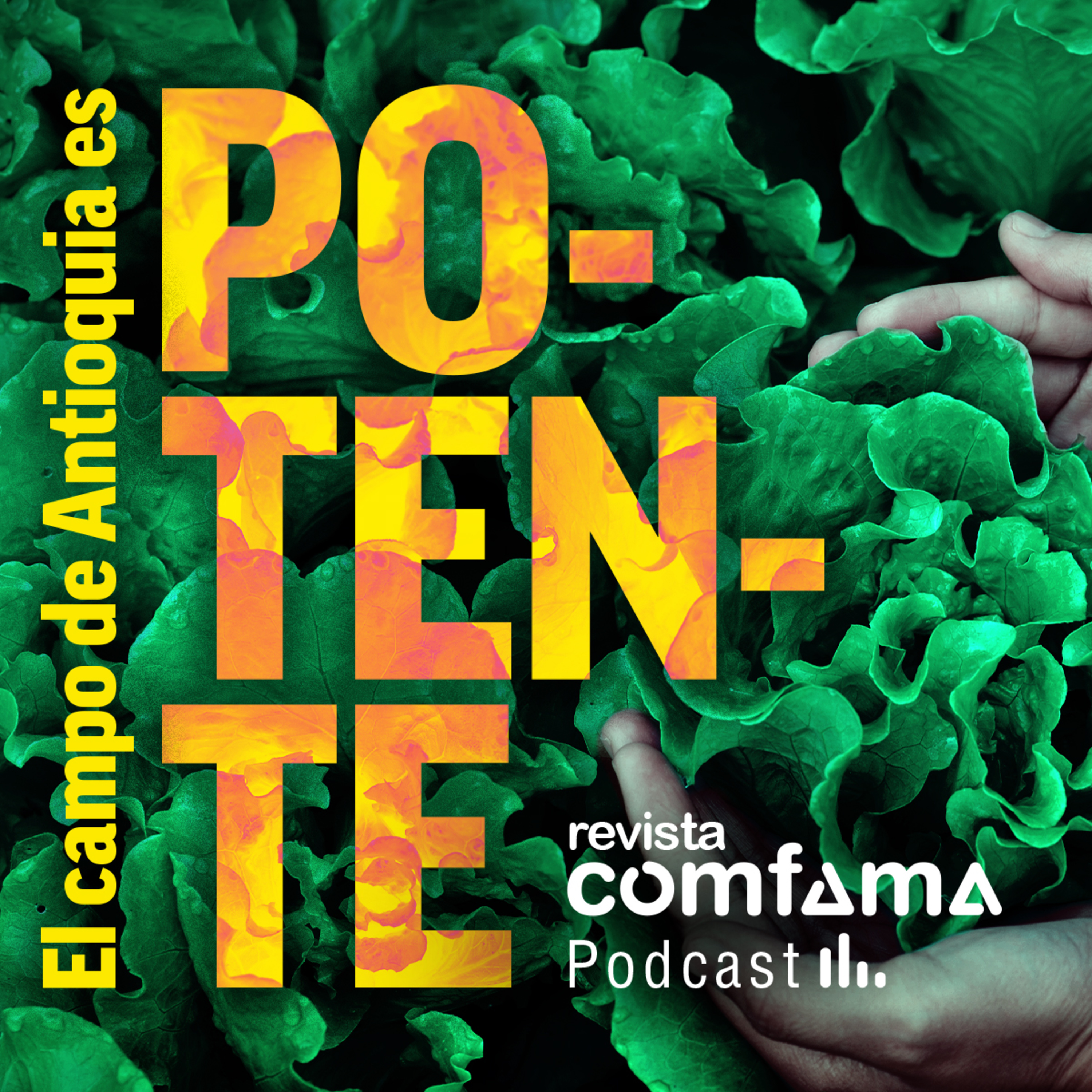 Revista Comfama