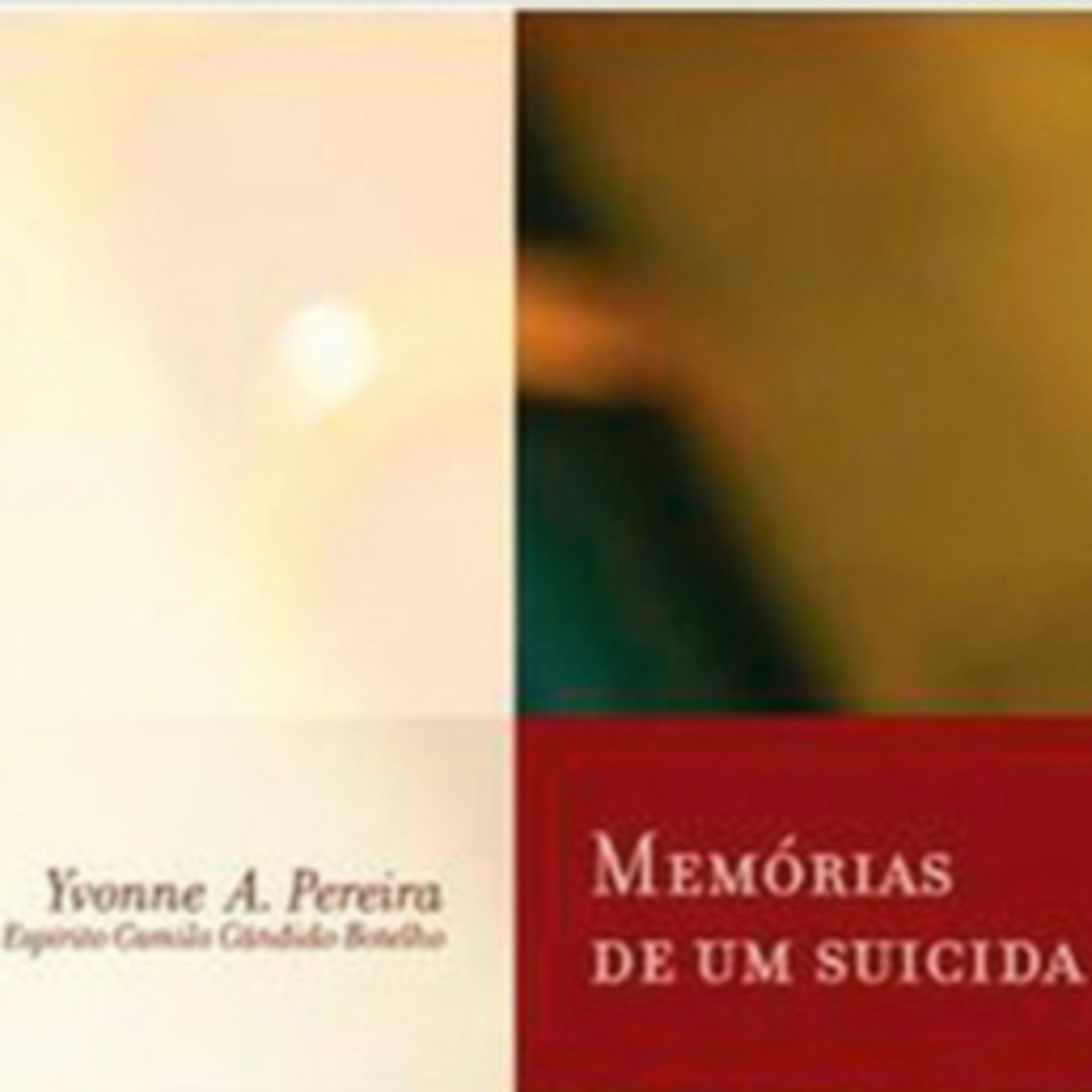 Palestras e Estudos do Ceasa