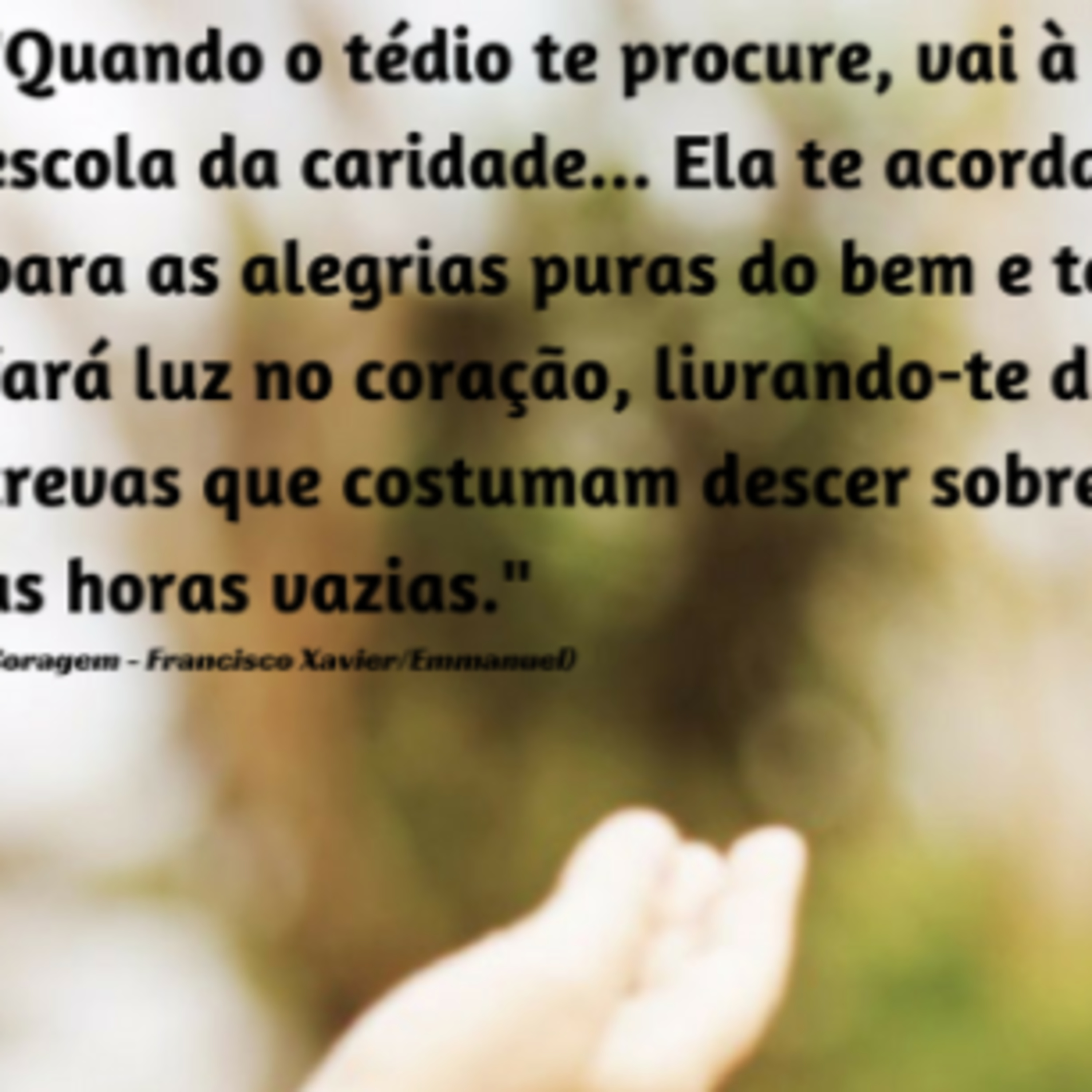 Palestras e Estudos do Ceasa