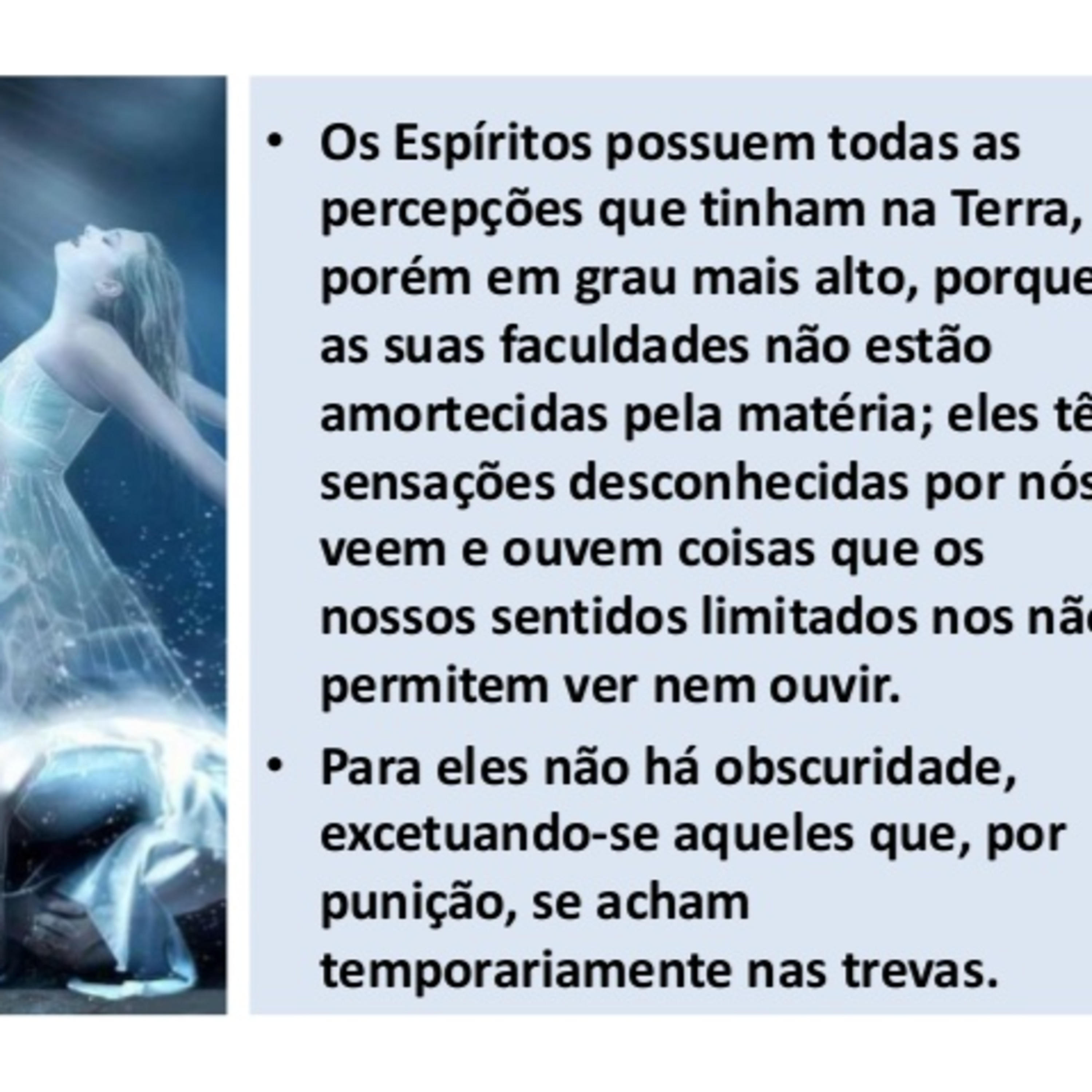 Palestras e Estudos do Ceasa