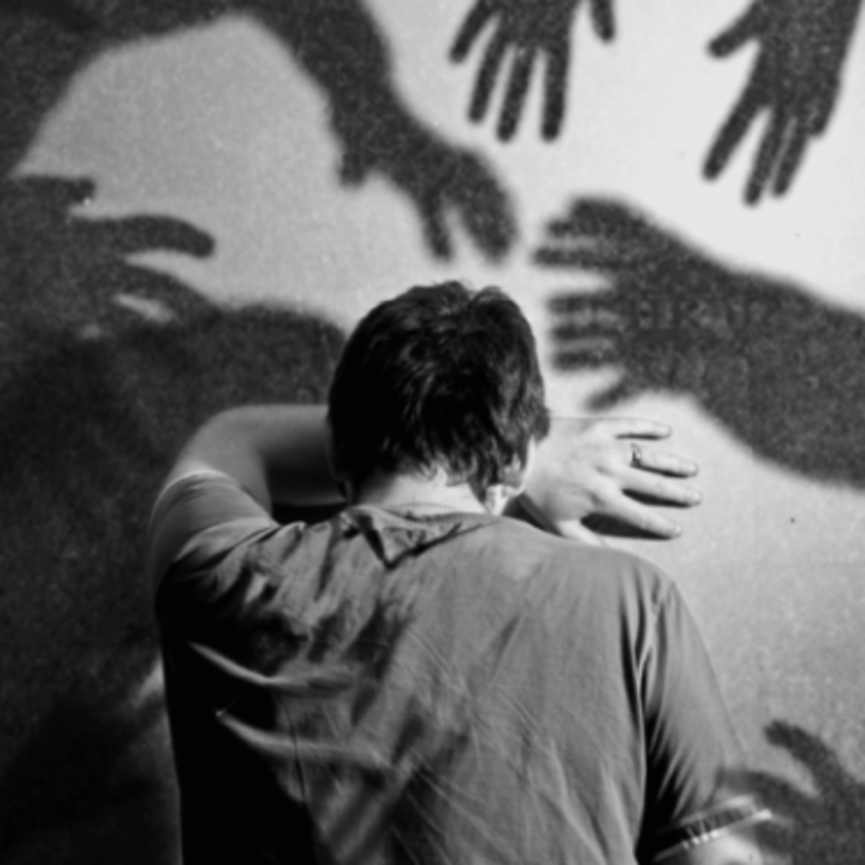 Palestras e Estudos do Ceasa