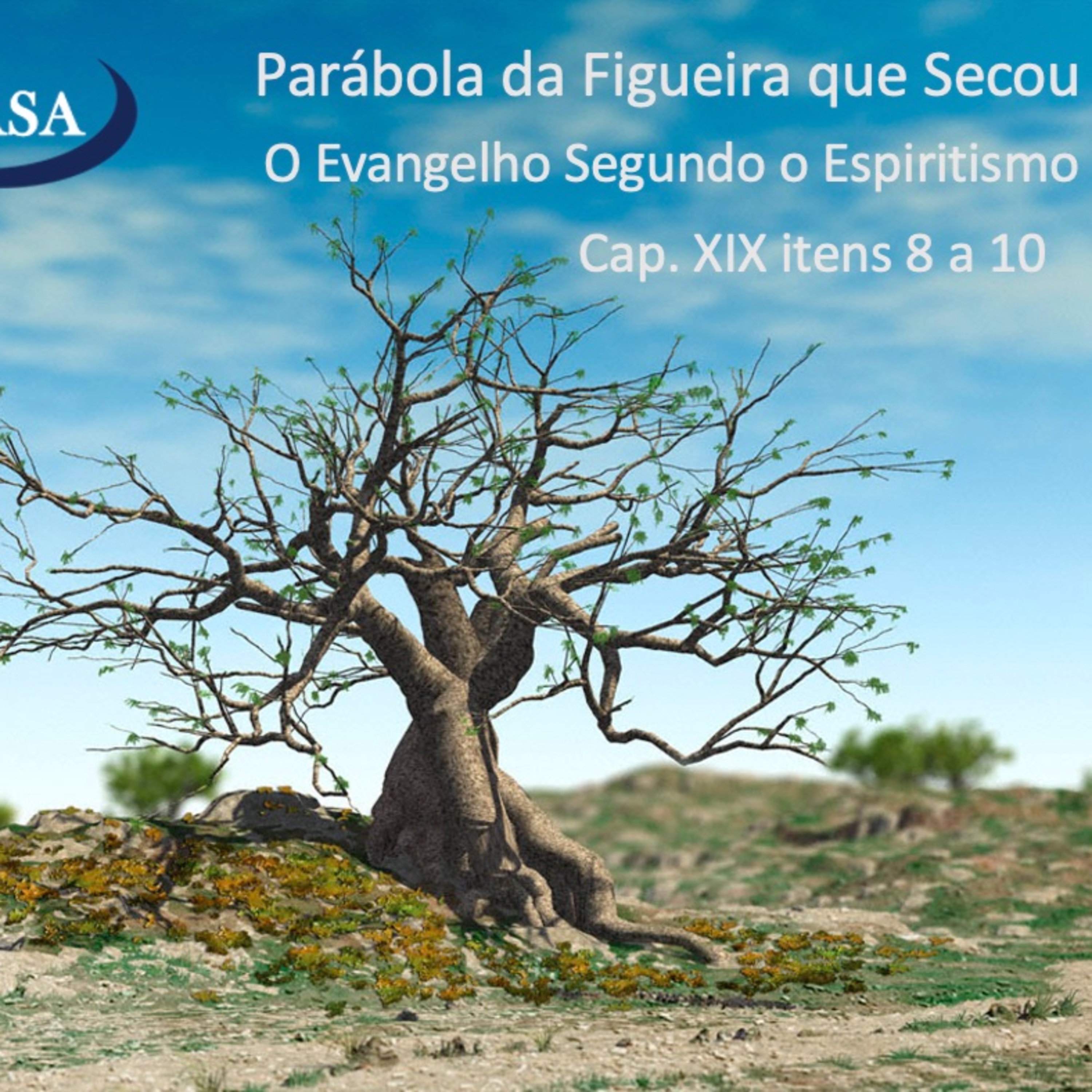 A FIGUEIRA QUE SECOU - 26.07.2021 - Iara Cordeiro episode artwork