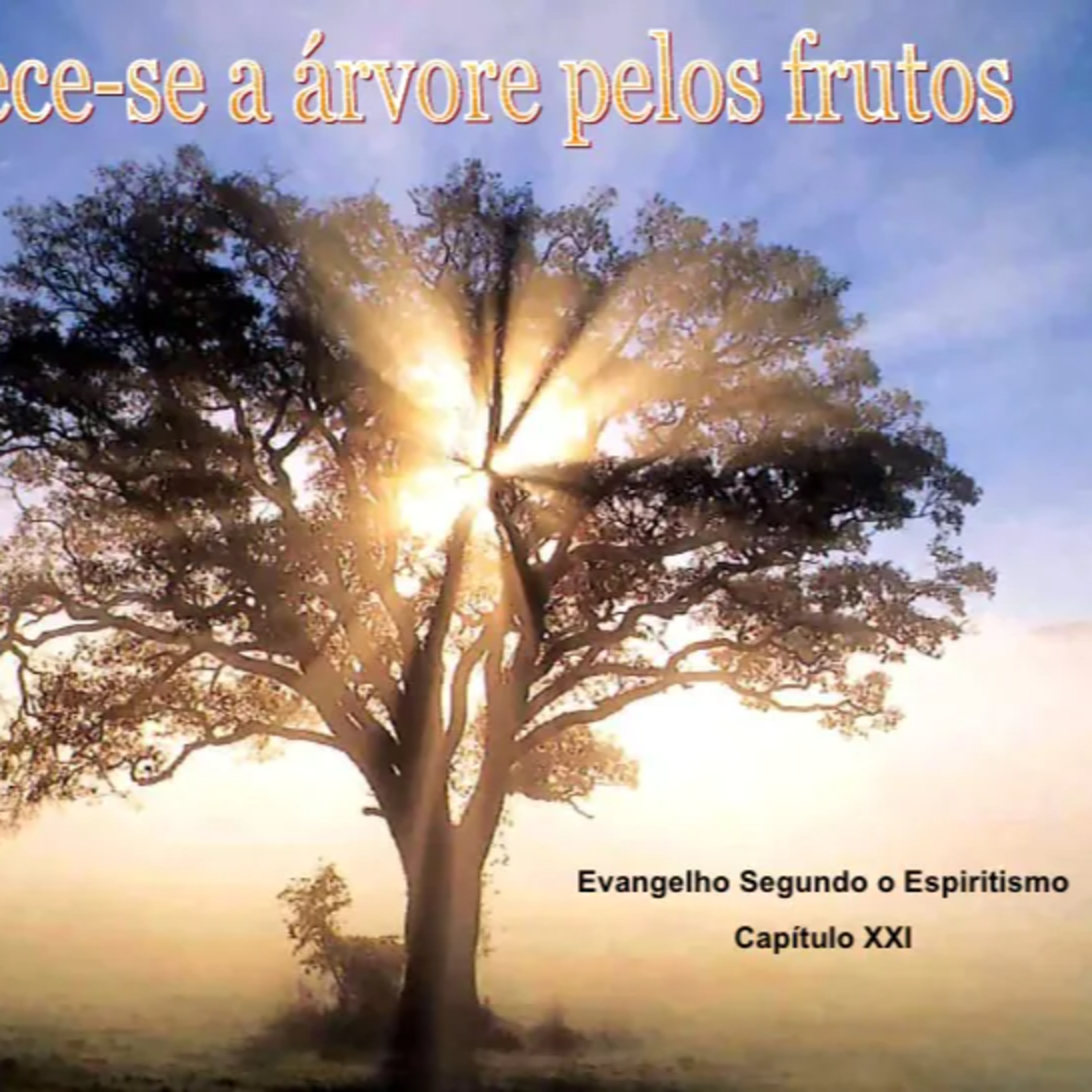 Conhece-se a arvore pelo fruto - 06.09.2021 - Jose Soares episode artwork