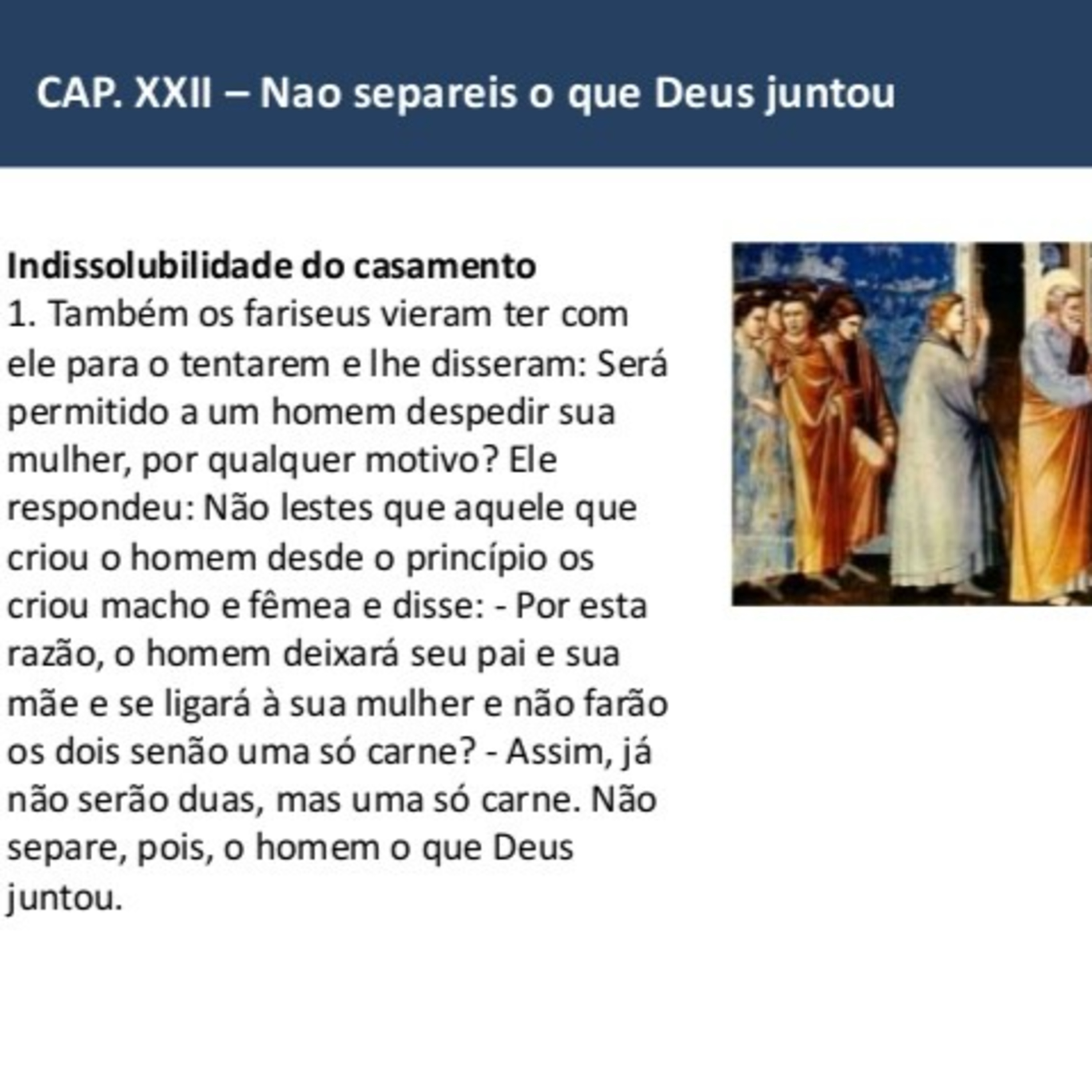 Palestras e Estudos do Ceasa