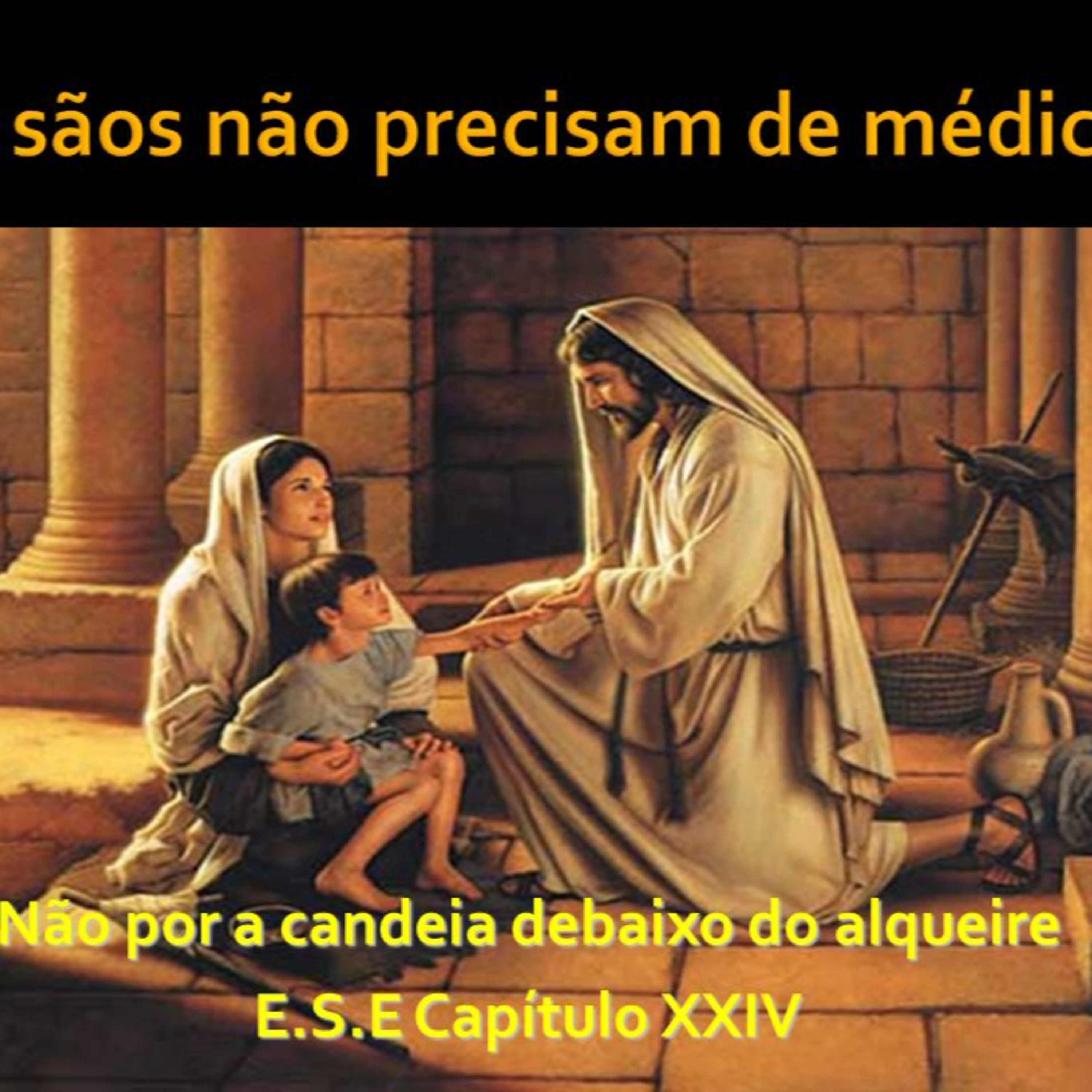 Palestras e Estudos do Ceasa