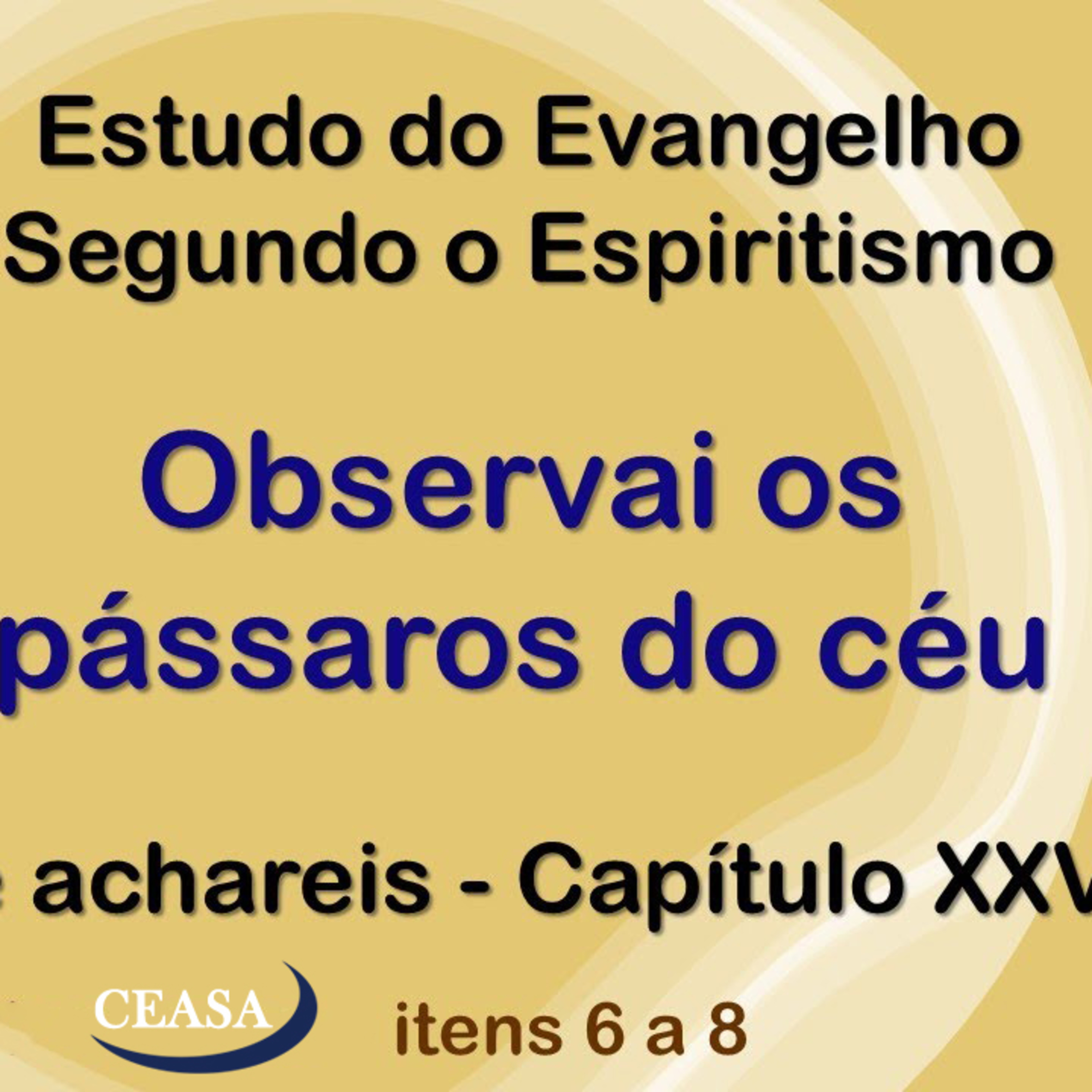 Observai os pássaros do céu - 13.12.2021 - Aleuda Gorfin episode artwork