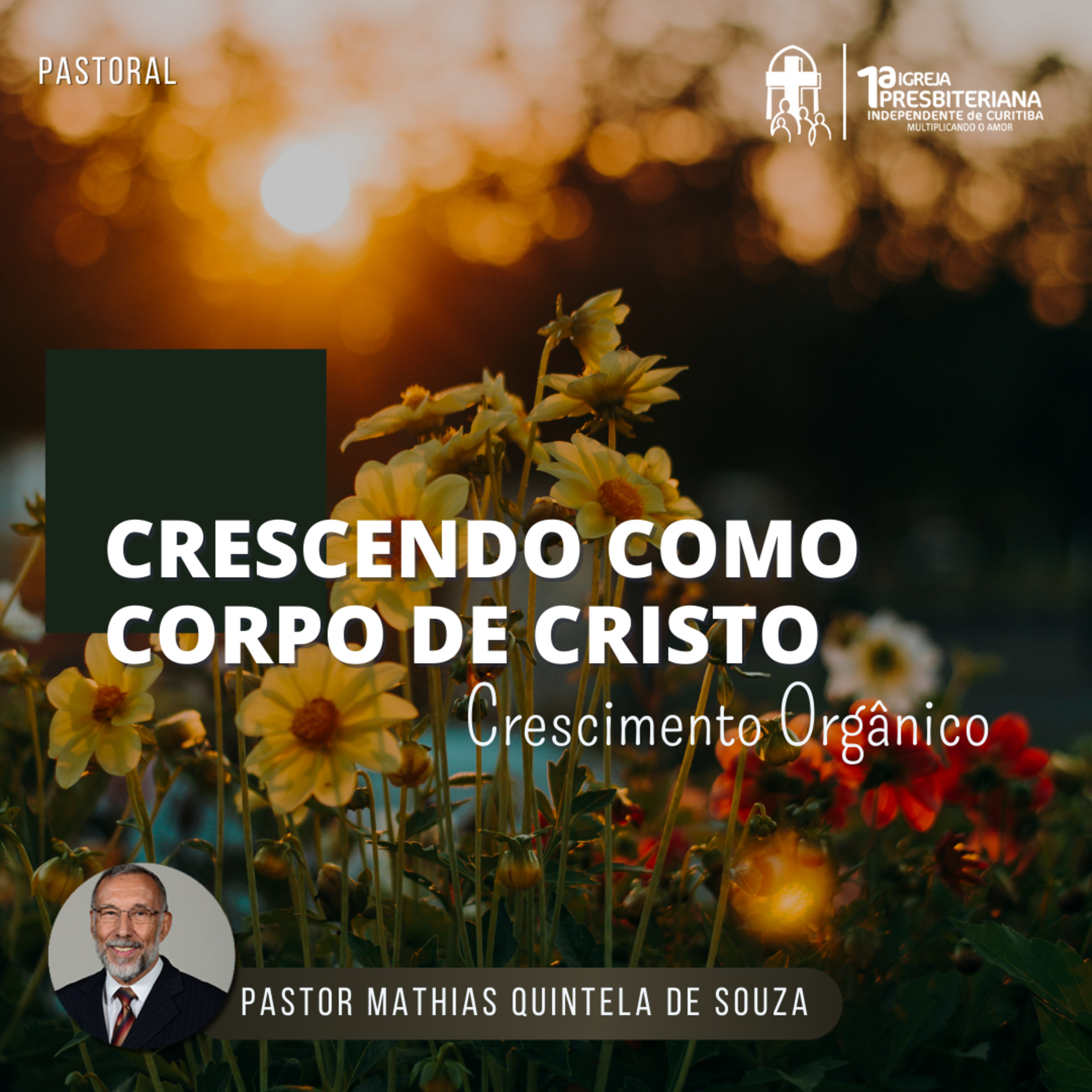 Culto 06/03/2022 - Crescendo como Corpo de Cristo (crescimento orgânico) episode artwork