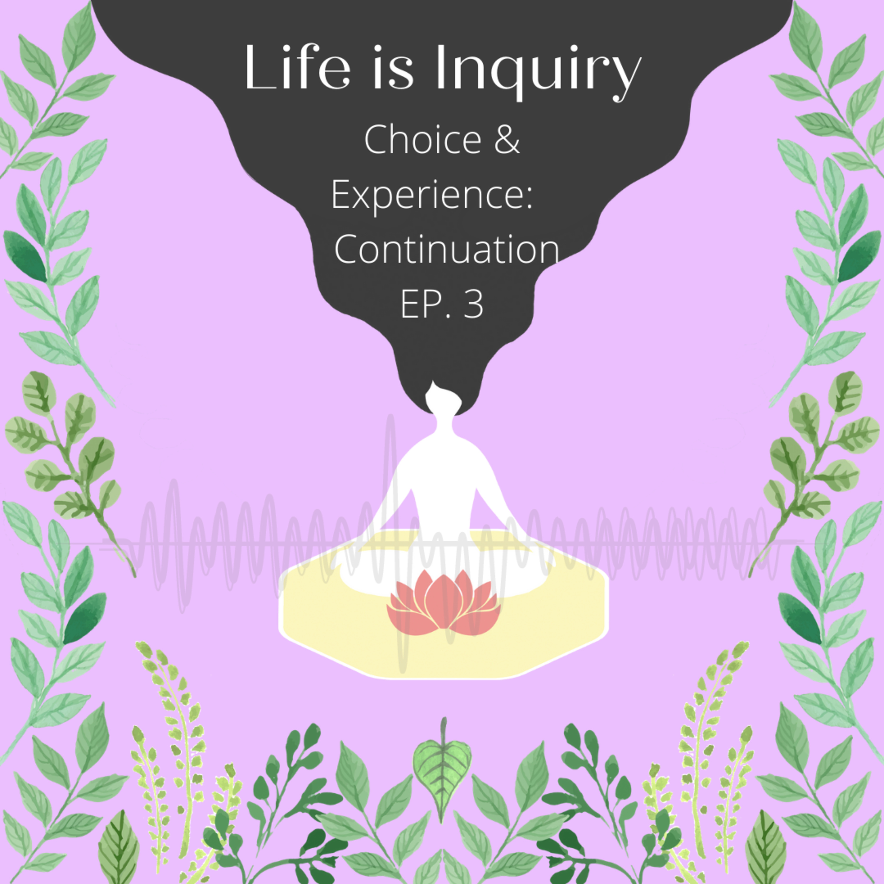 Choice & Experience: Continuation episode artwork