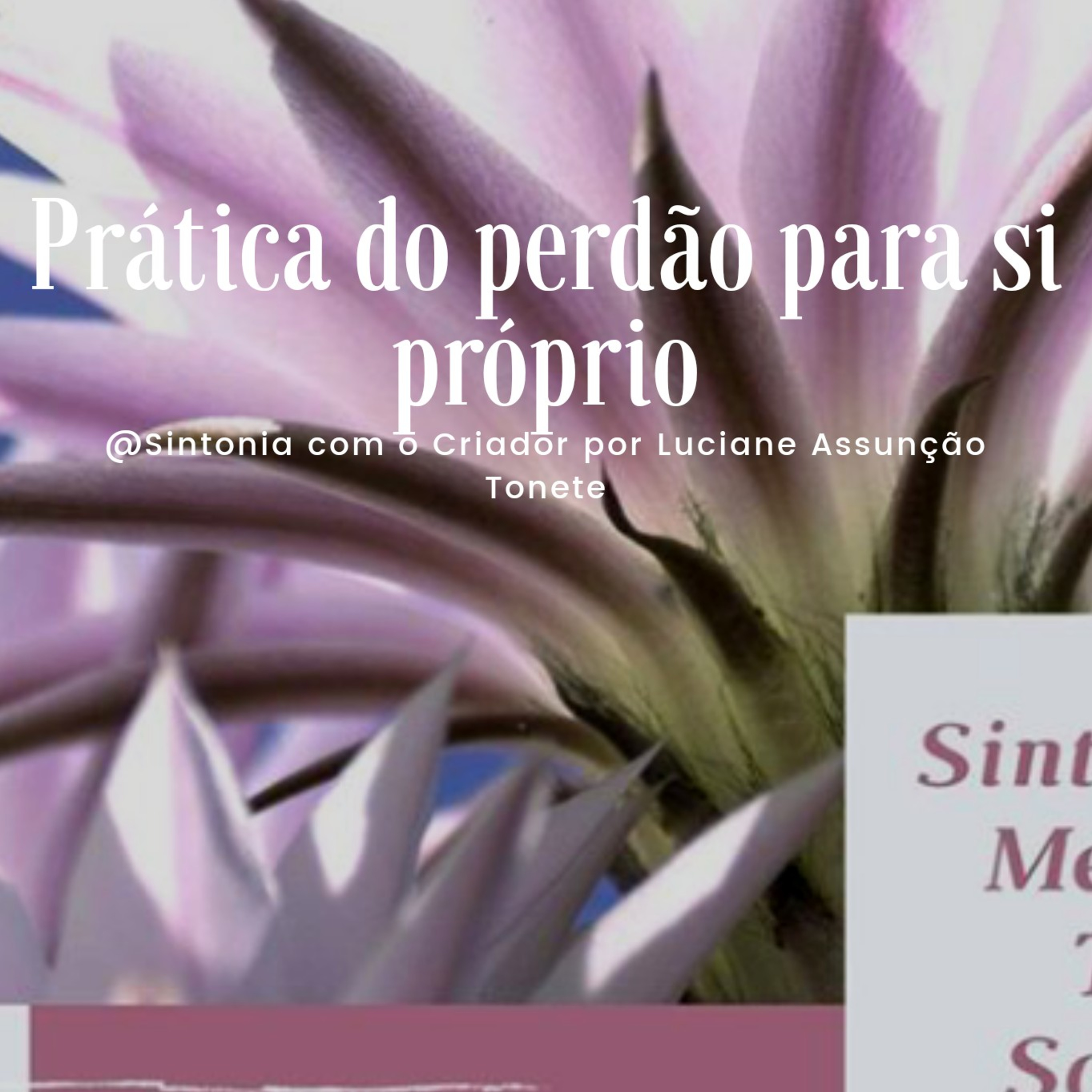 Conexão Sagrada