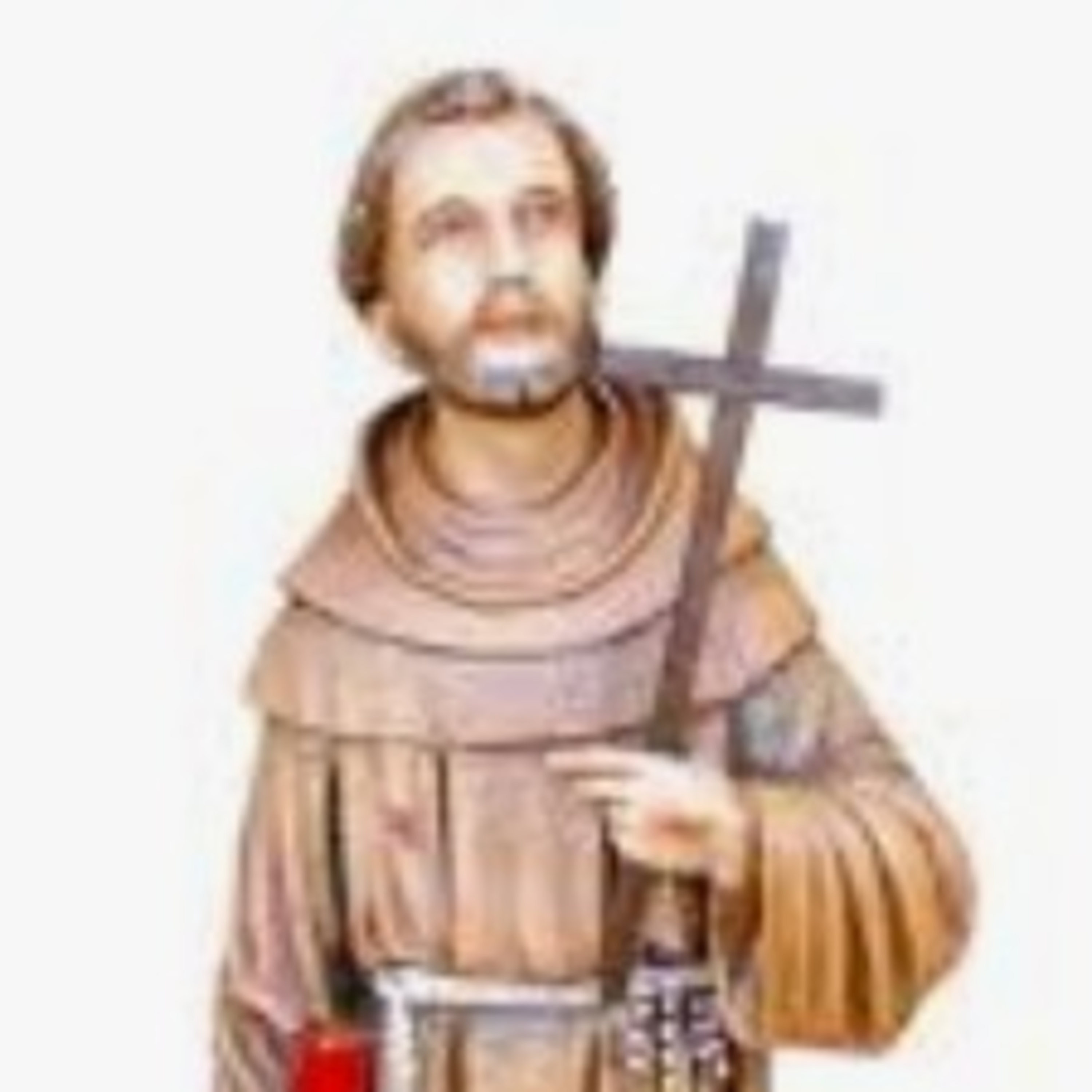 Prece a São Francisco de Assis por um animal doente episode artwork