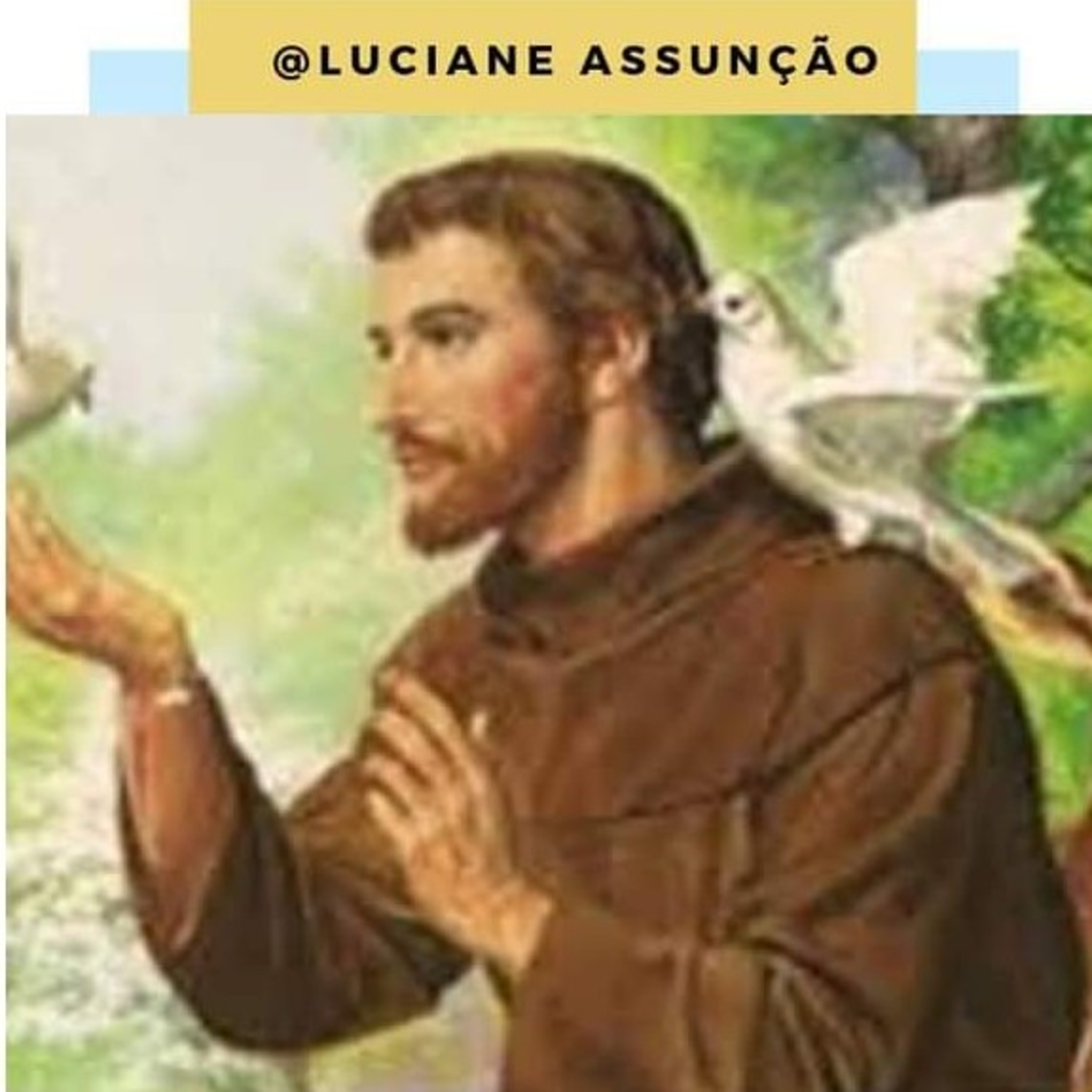 Oração de São Francisco episode artwork